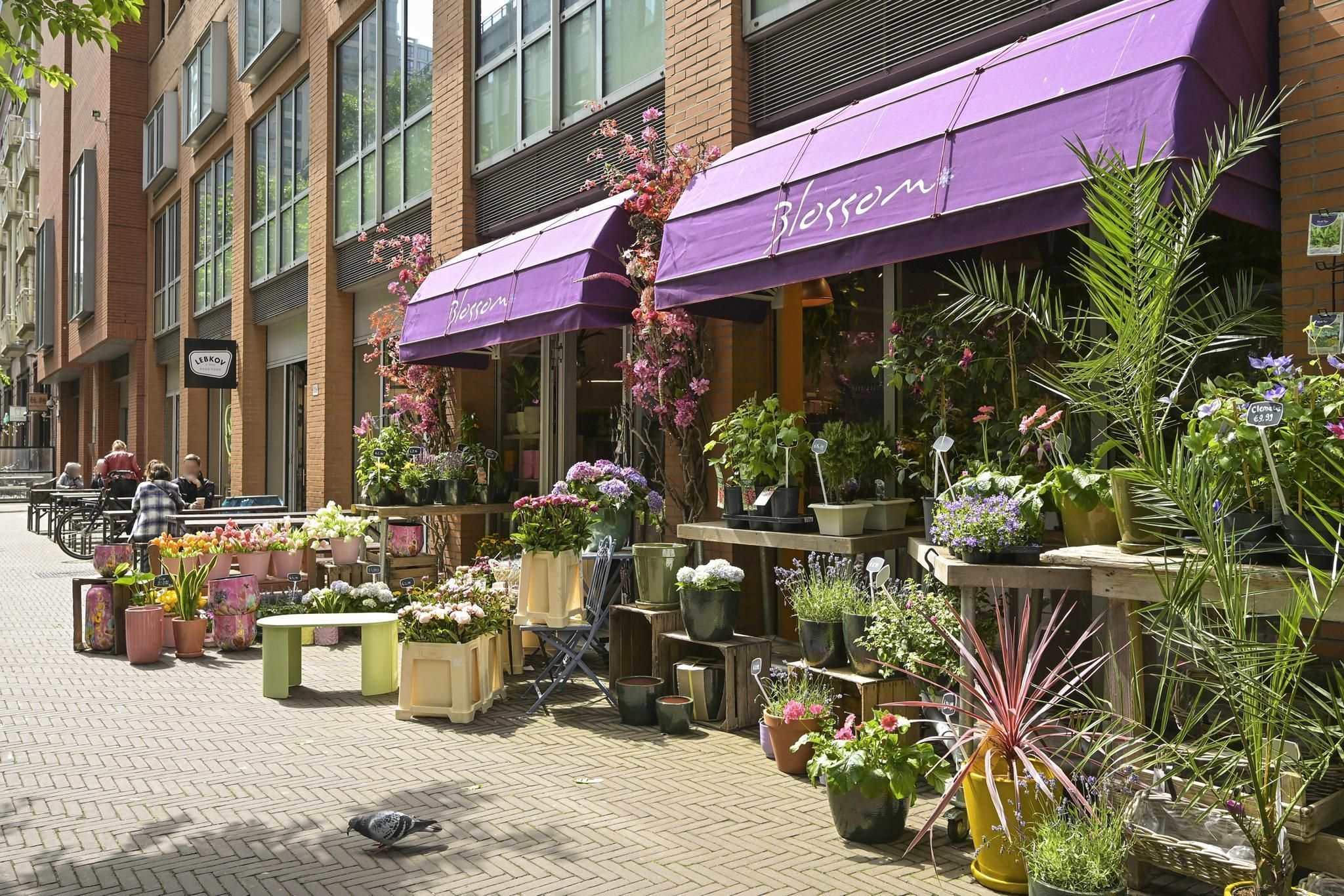 Muzenstraat 98 Photo Blur 46