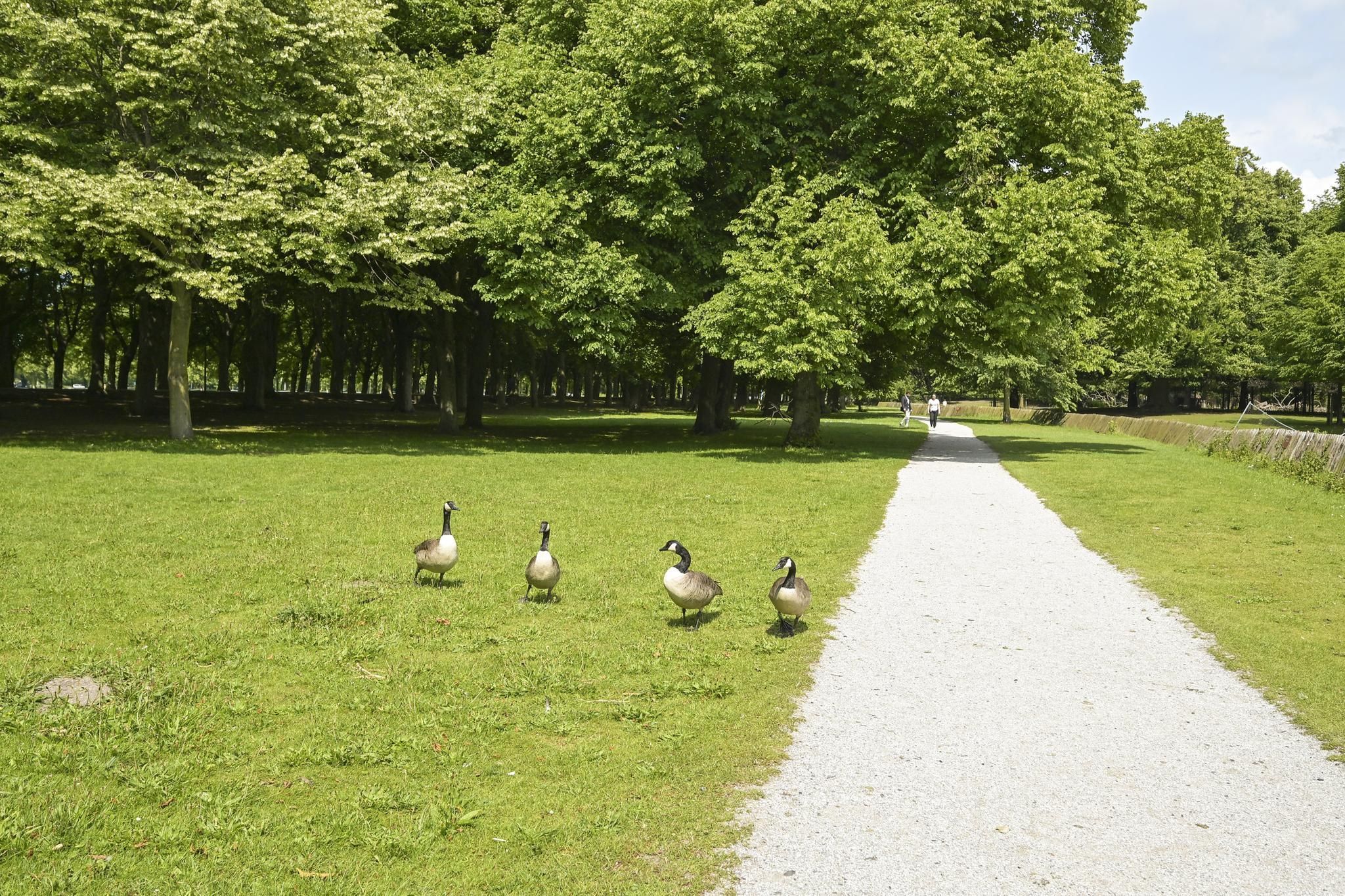 Muzenstraat 98 Photo Blur 51