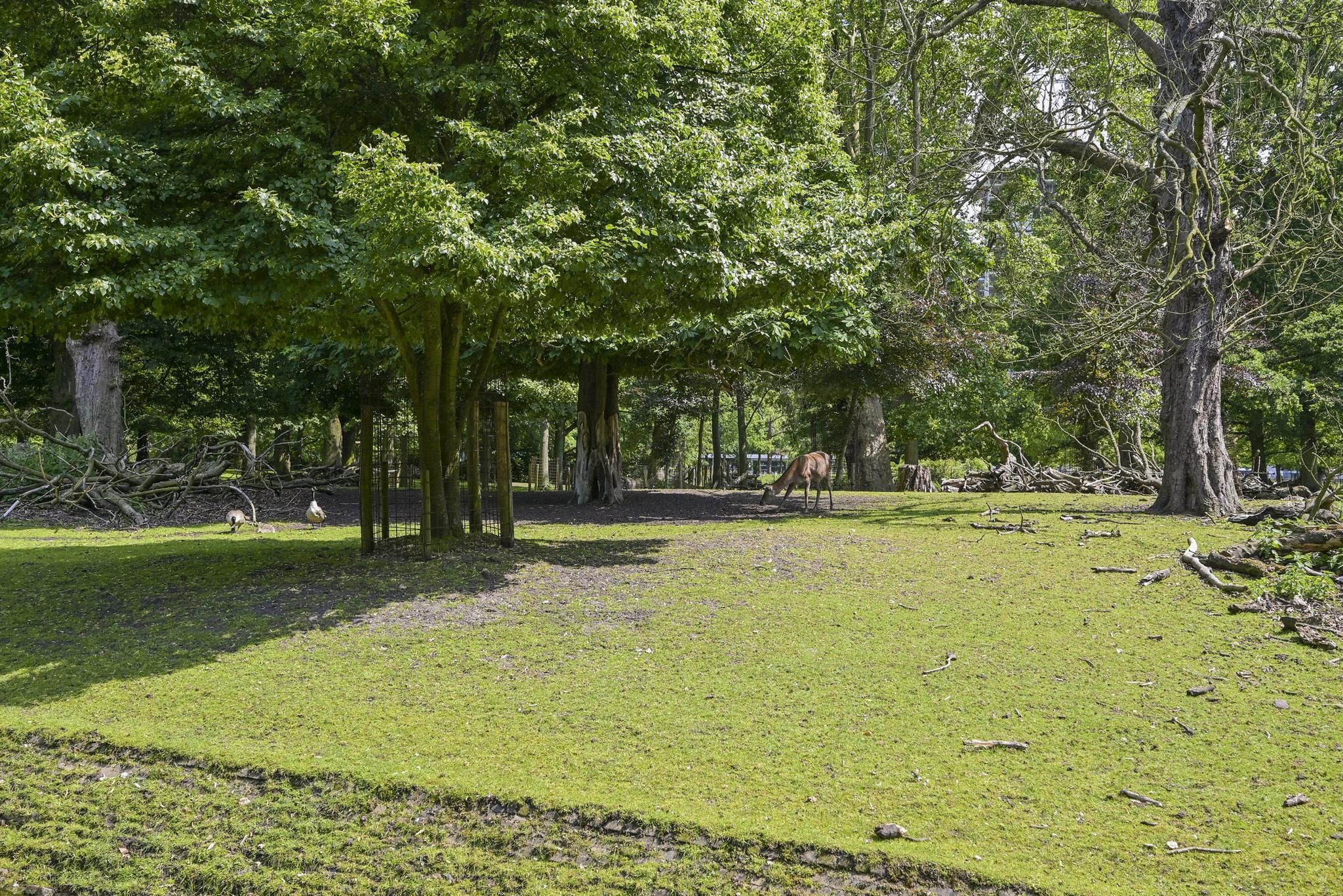 Muzenstraat 98 Photo Blur 52