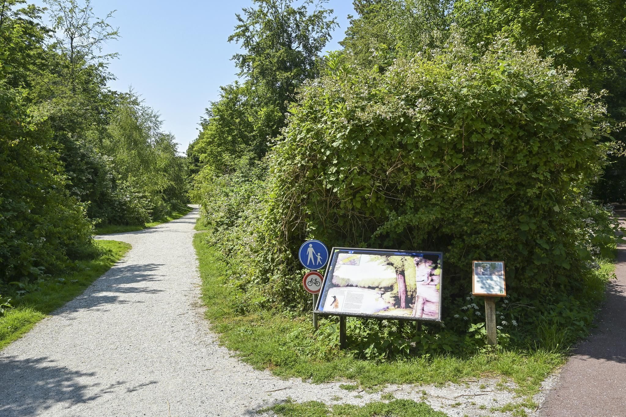 Loudonstraat 61 Photo Blur 30