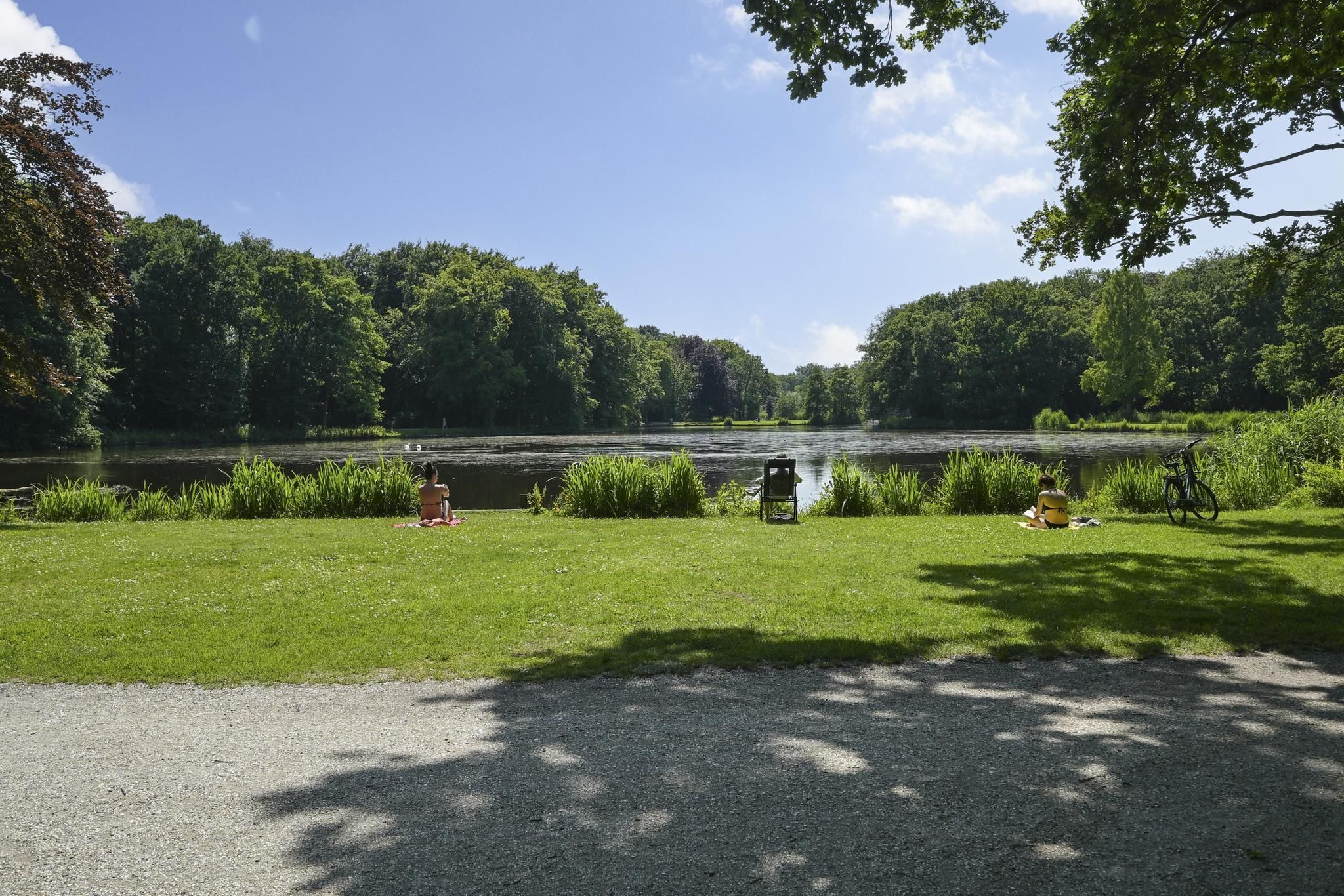 Loudonstraat 61 Photo Blur 31