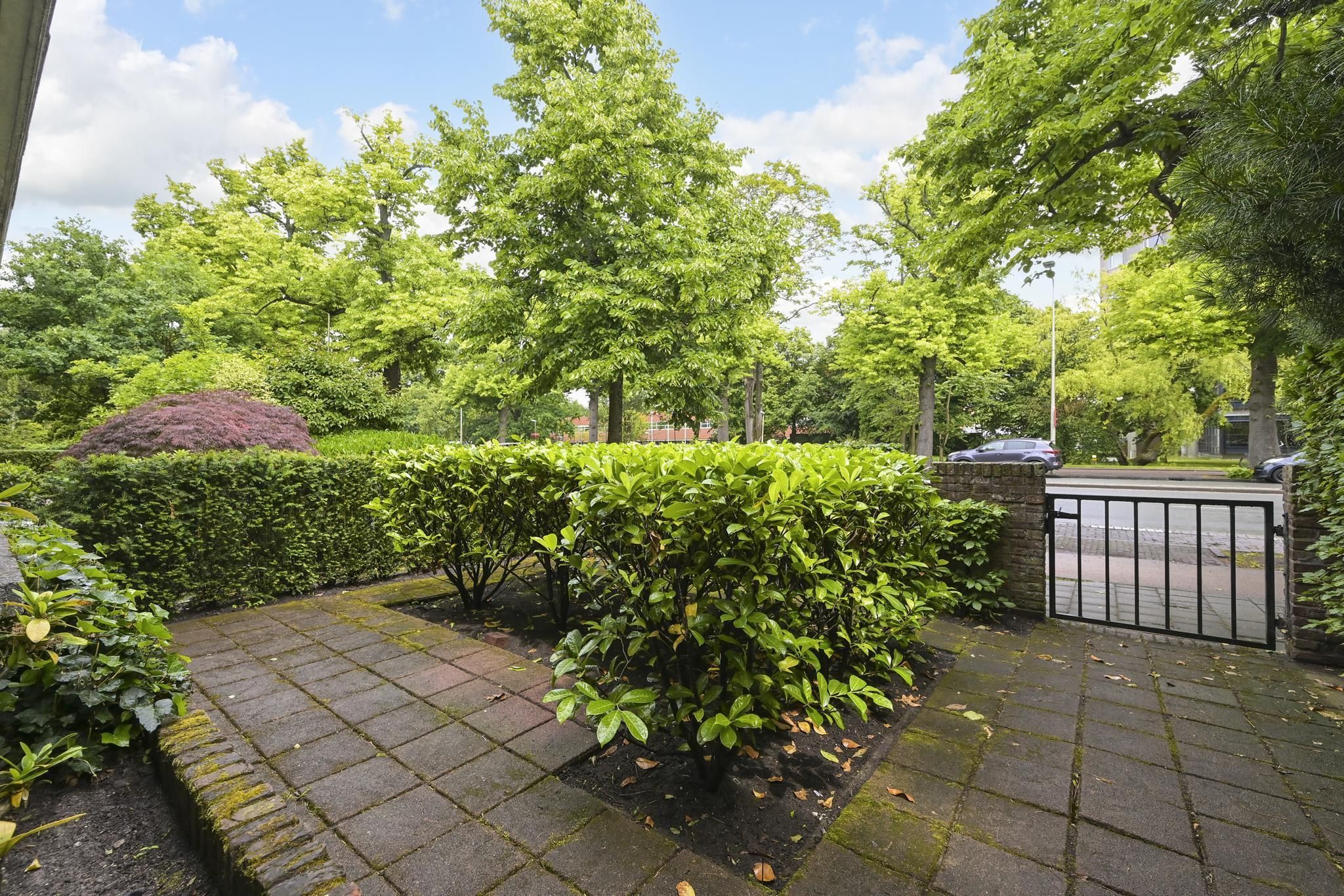 Van Alkemadelaan 98 Photo Blur 2