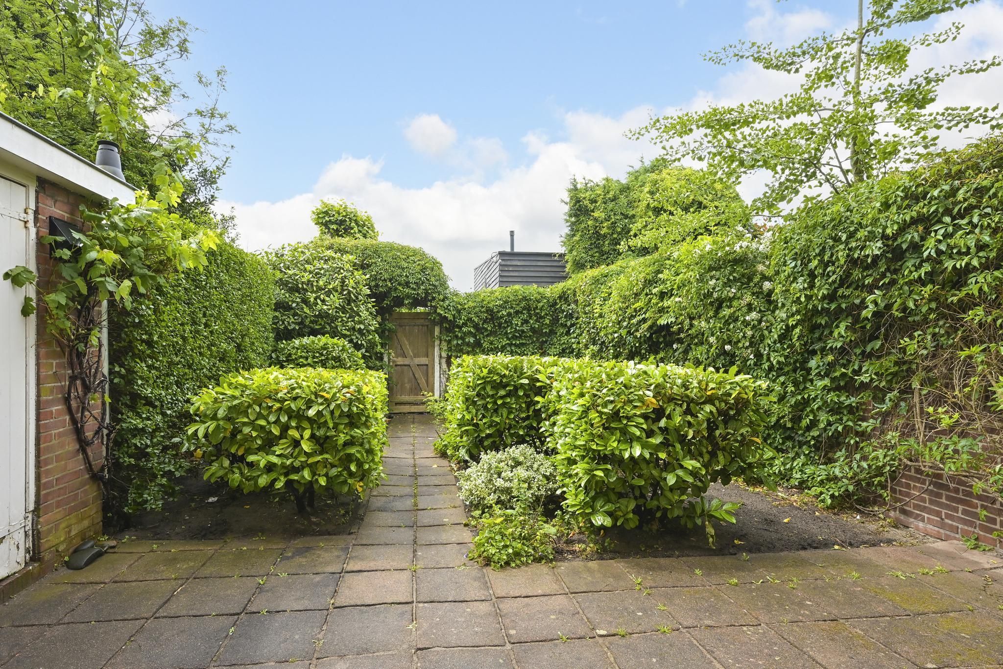 Van Alkemadelaan 98 Photo Blur 18