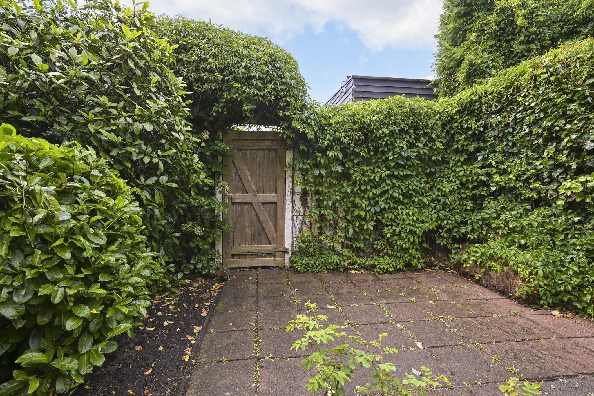 Van Alkemadelaan 98 Photo Blur 19