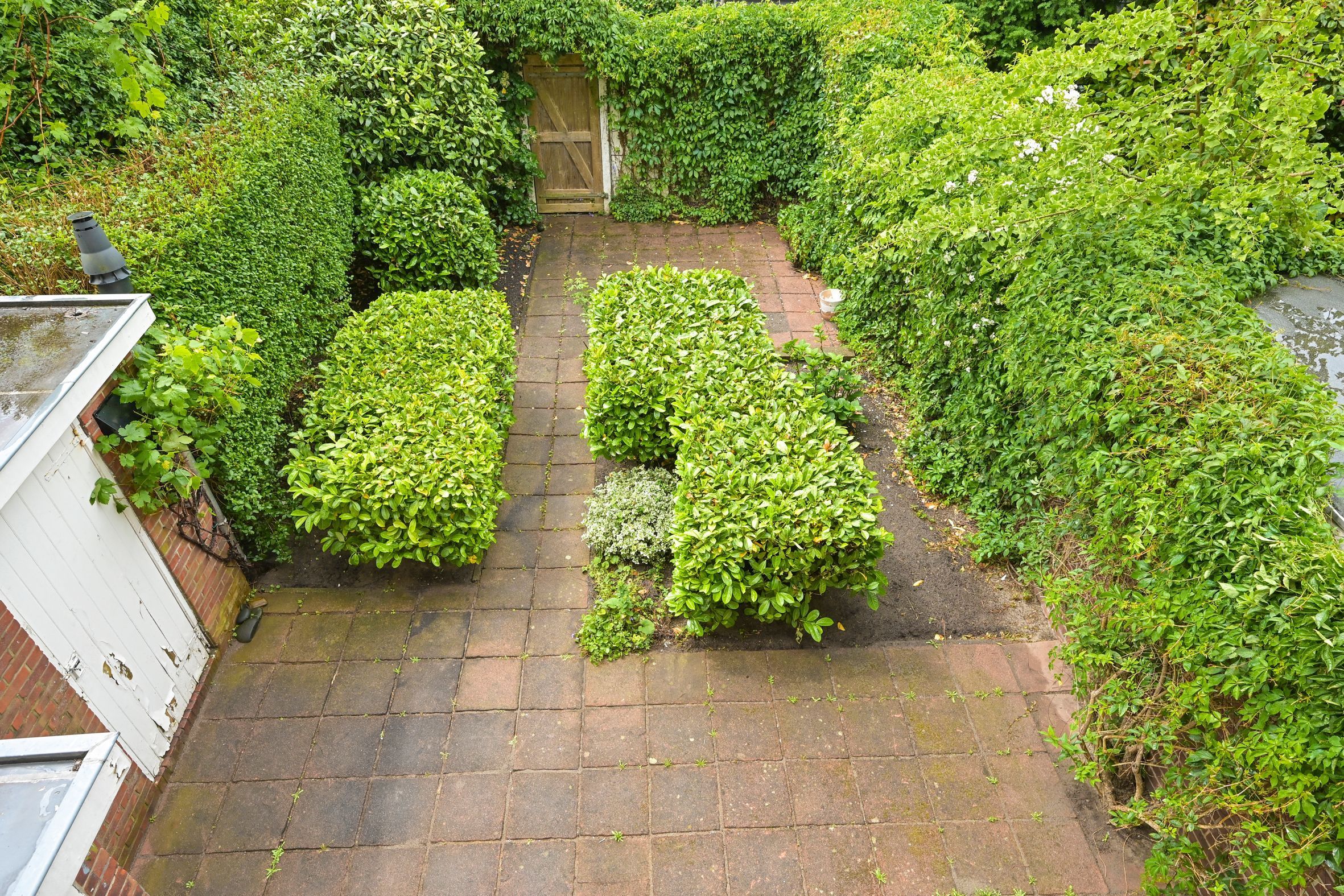 Van Alkemadelaan 98 Photo Blur 33