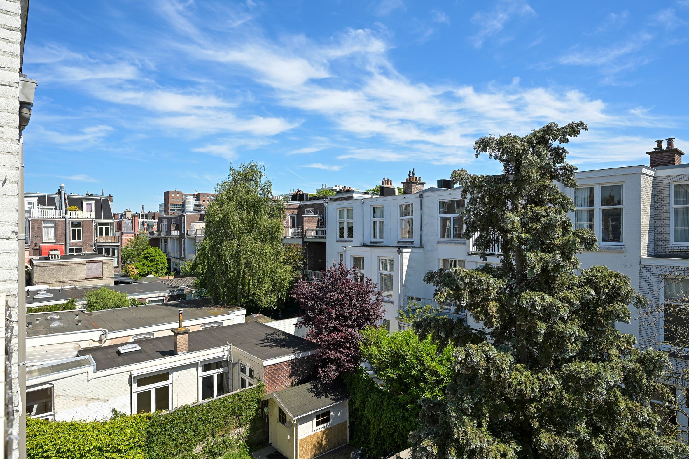 Van Loostraat 50 Photo Blur 22