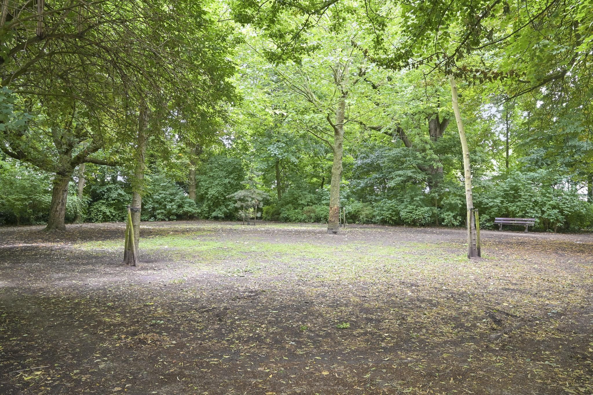 Javastraat 83 Photo Blur 27