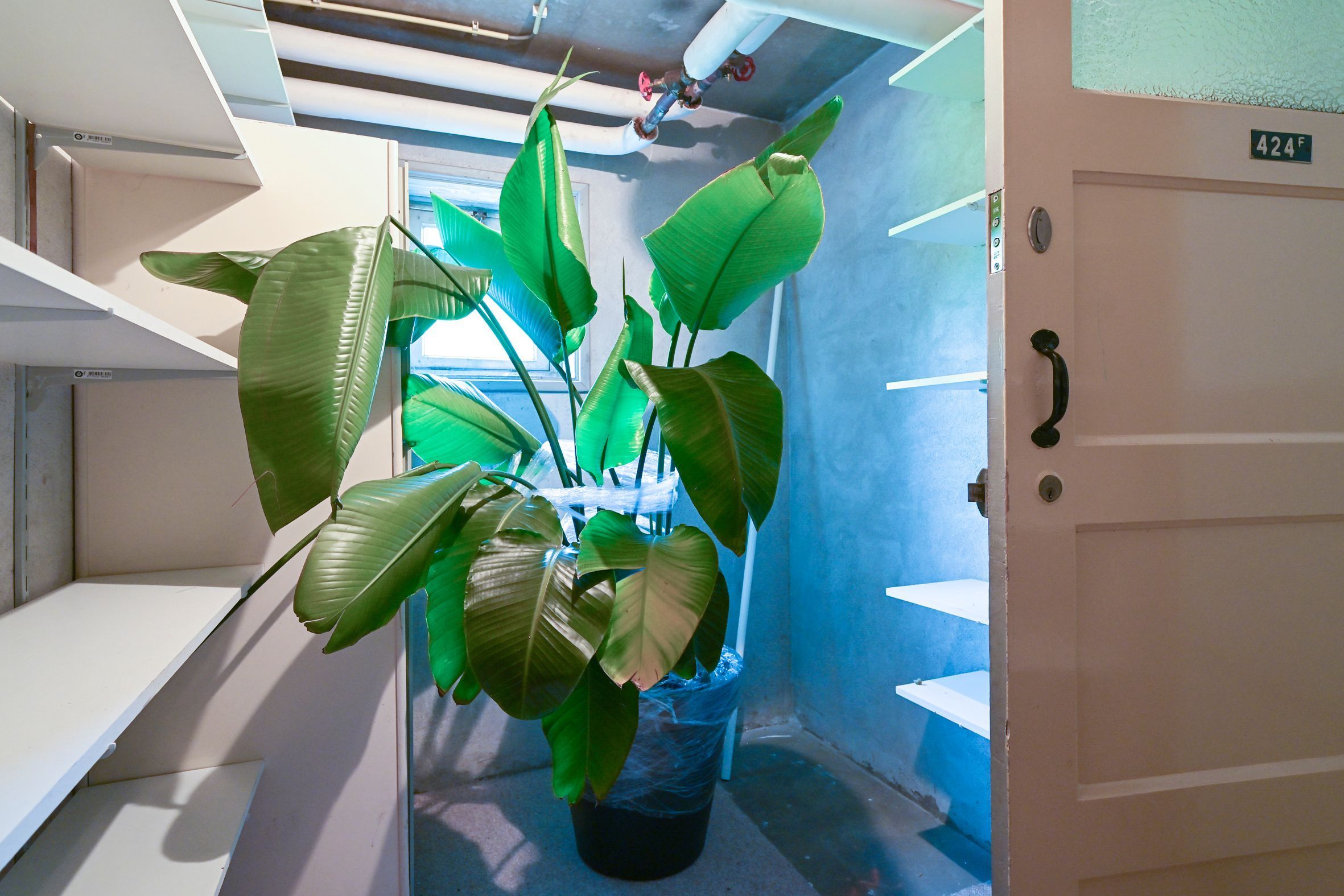 Segbroeklaan 424-F Photo Blur 37