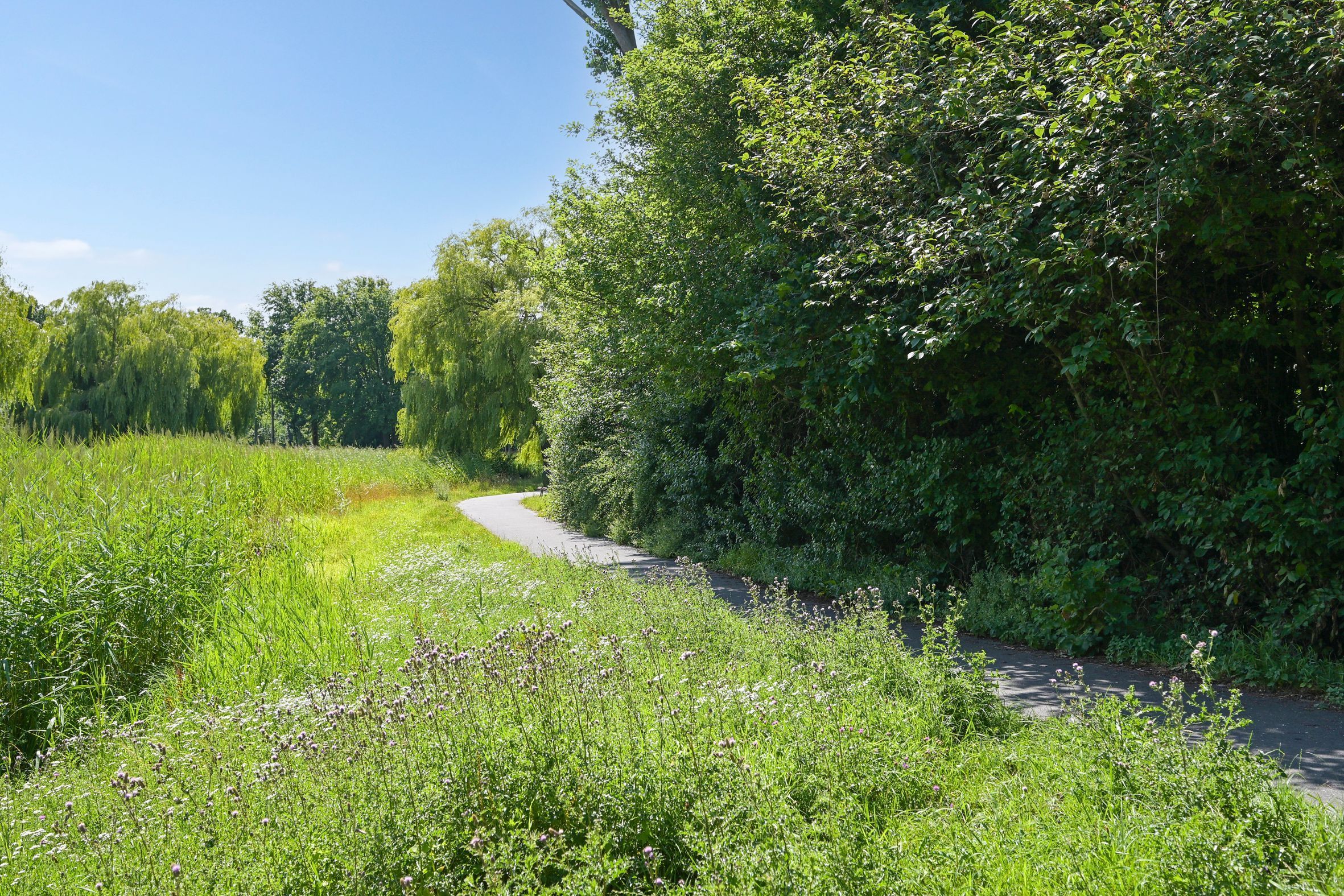 Segbroeklaan 424-F Photo Blur 47