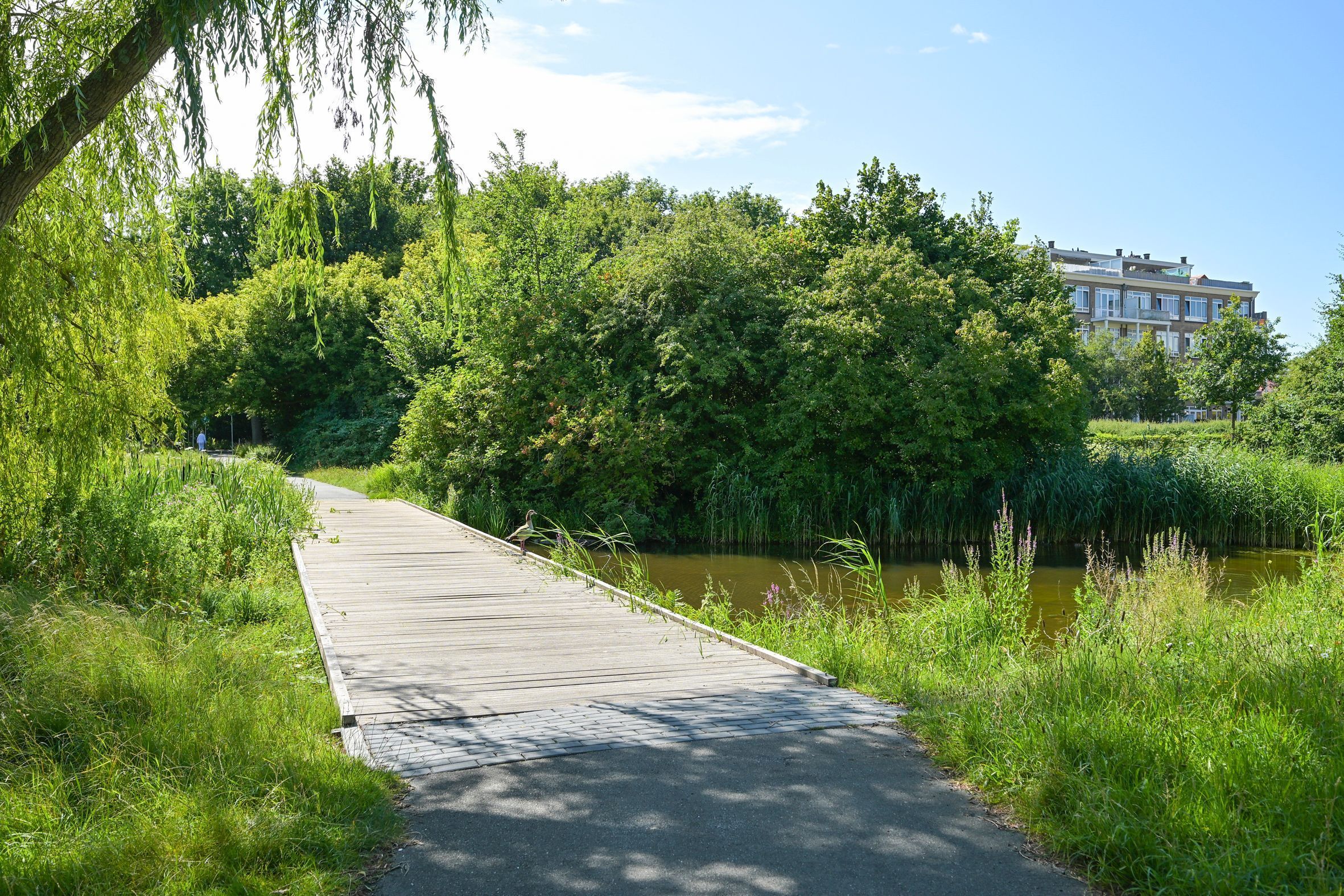 Segbroeklaan 424-F Photo Blur 48