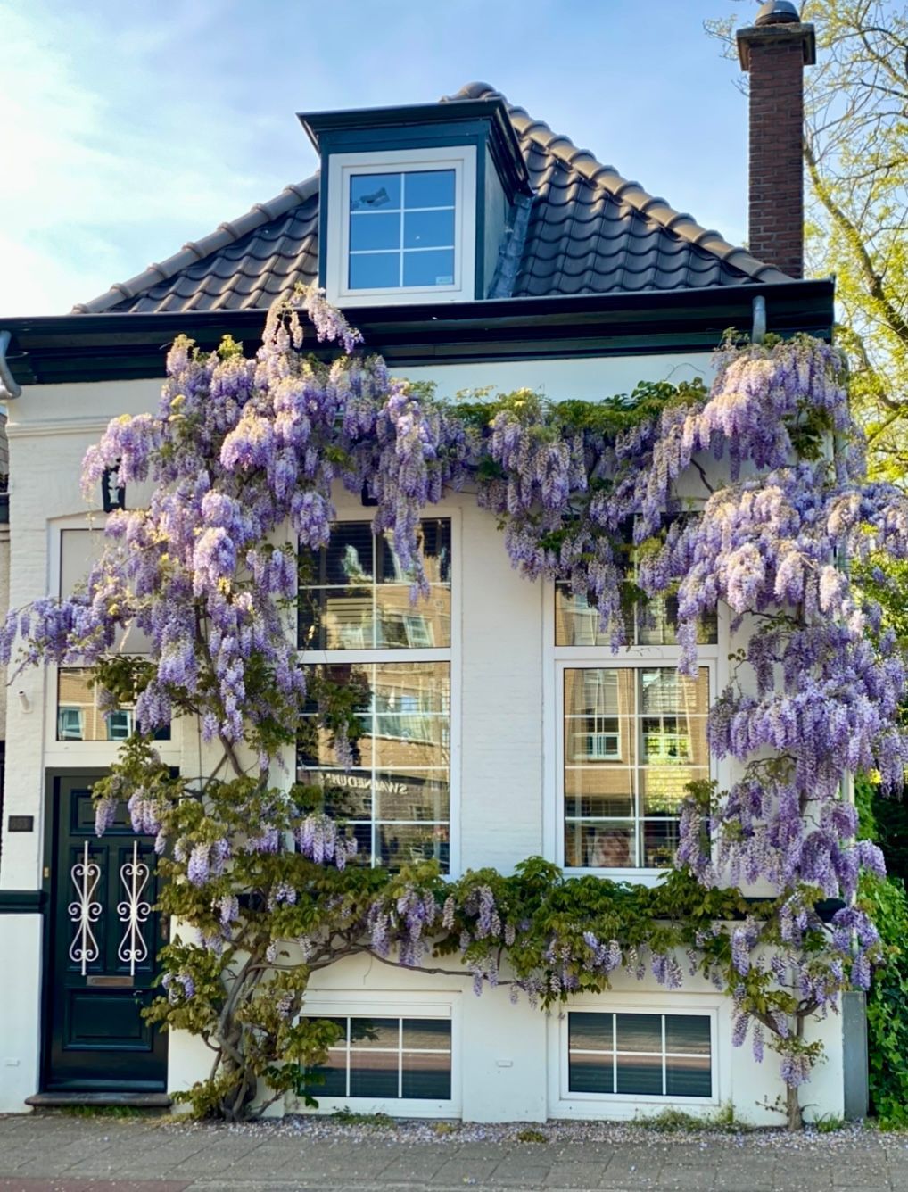 Oude Haagweg 653 Photo Blur 0