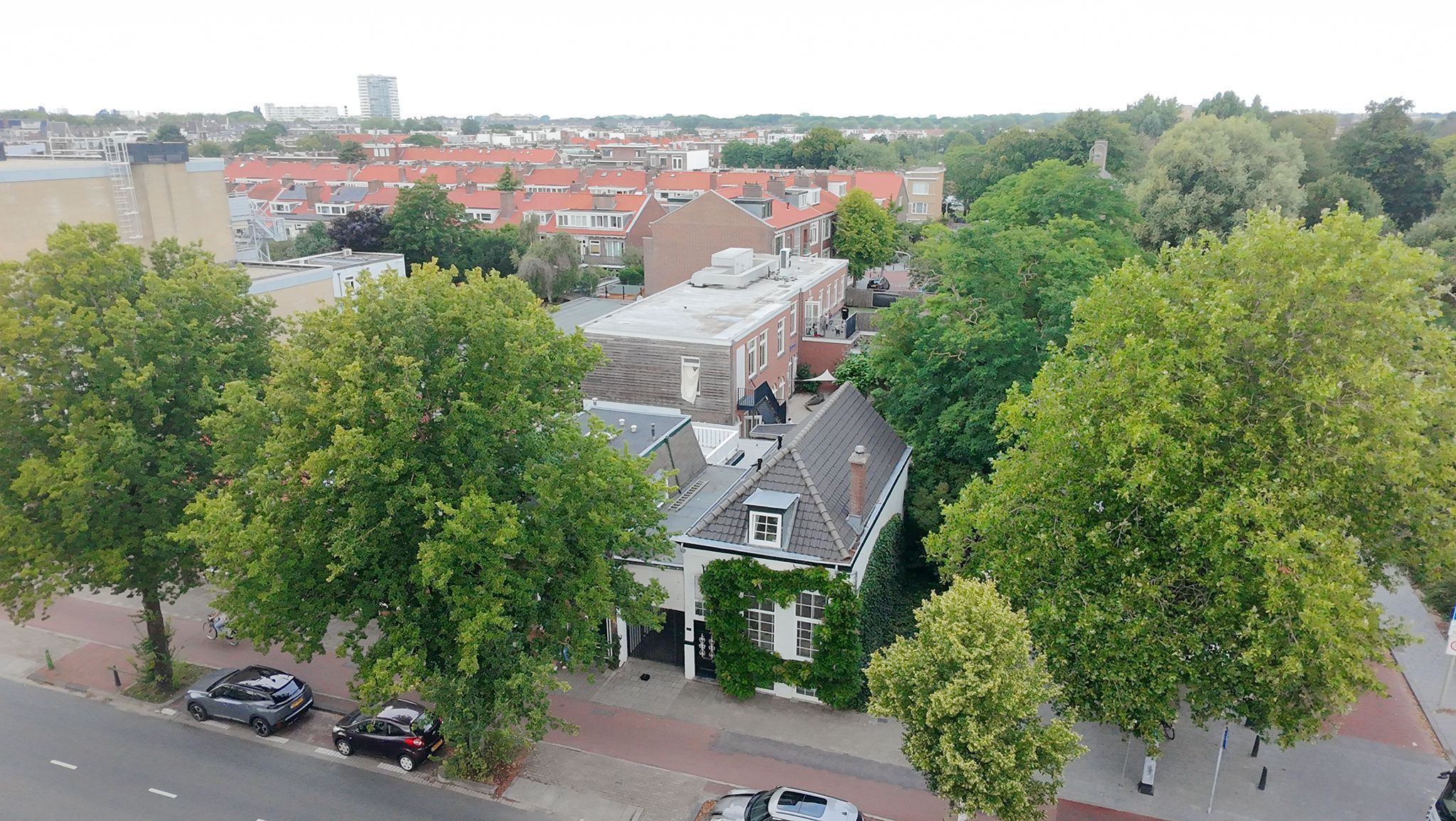 Oude Haagweg 653 Photo Blur 50