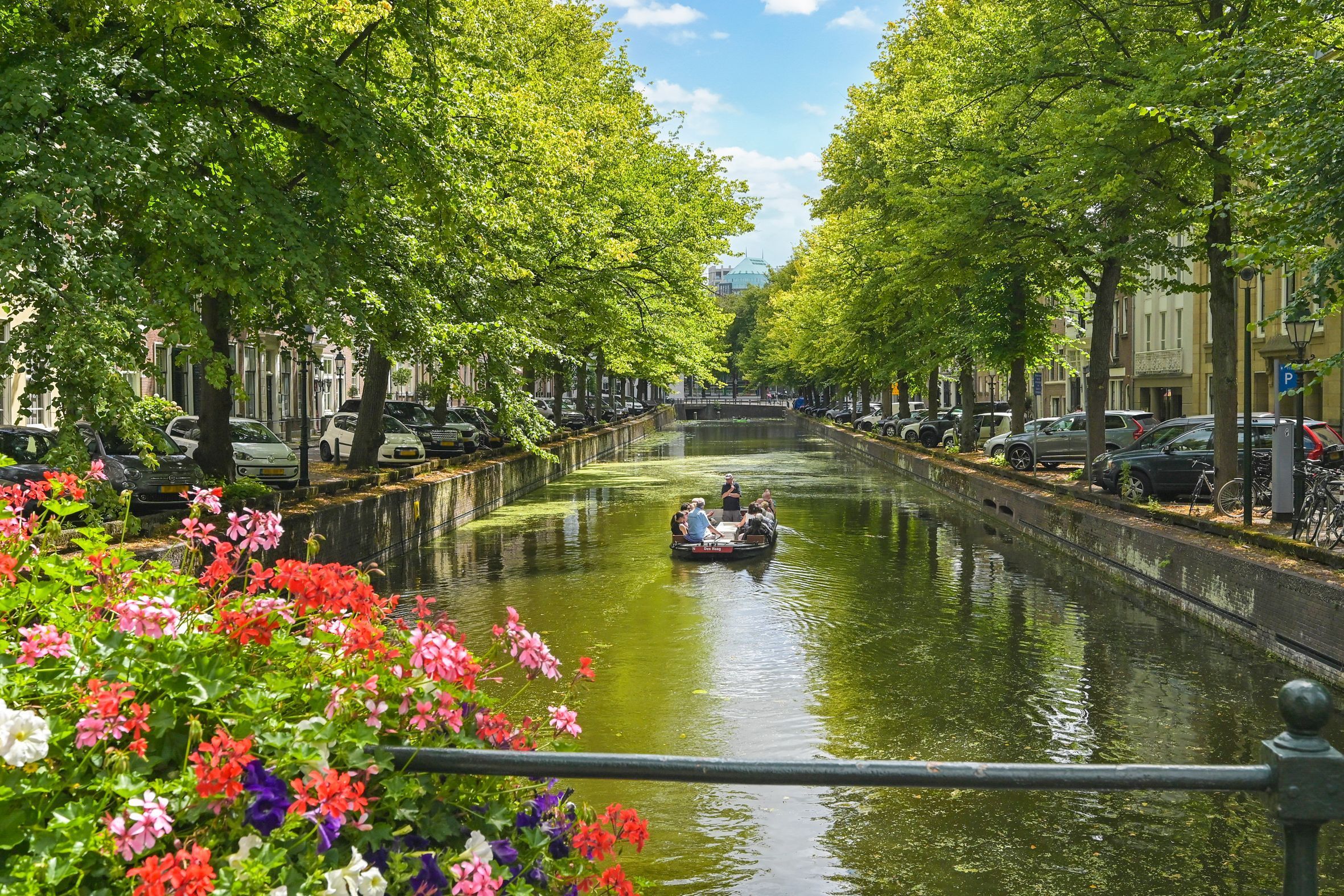 Smidswater 3-C Photo Blur 17