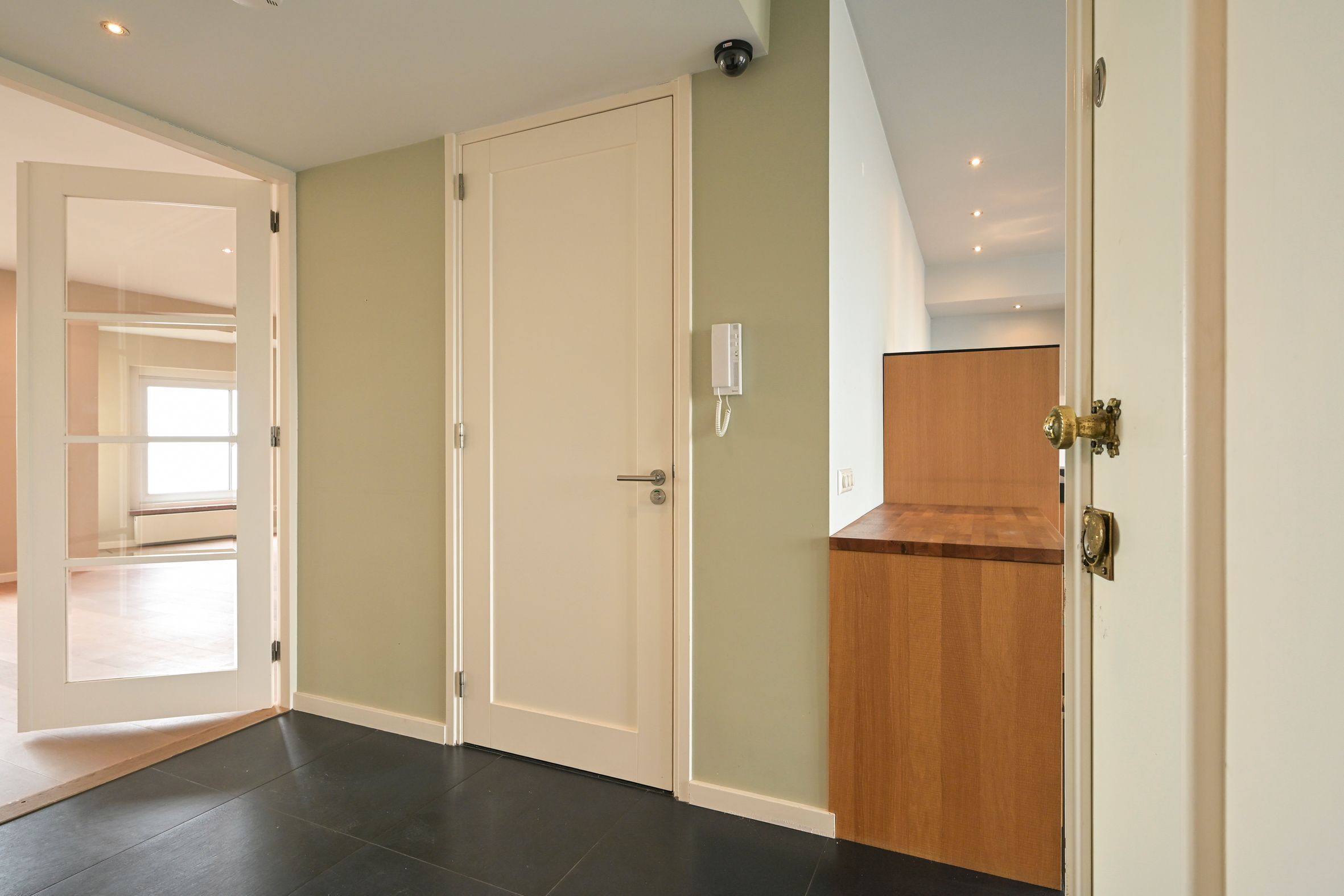 Zeekant 102-C Photo Blur 2