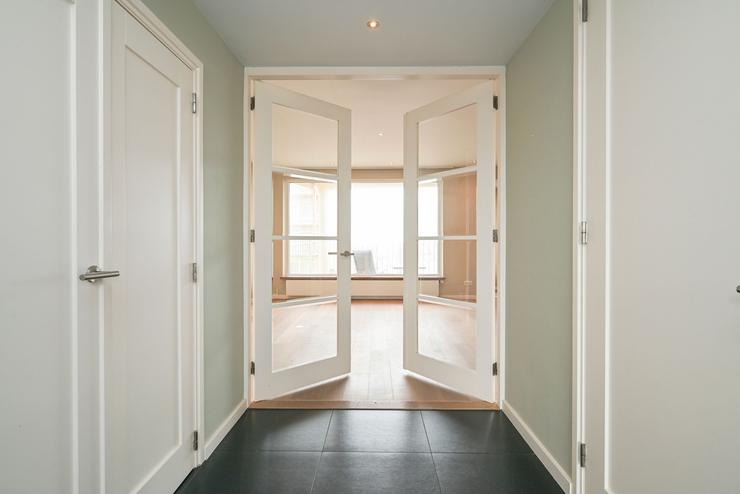 Zeekant 102-C Photo Blur 3