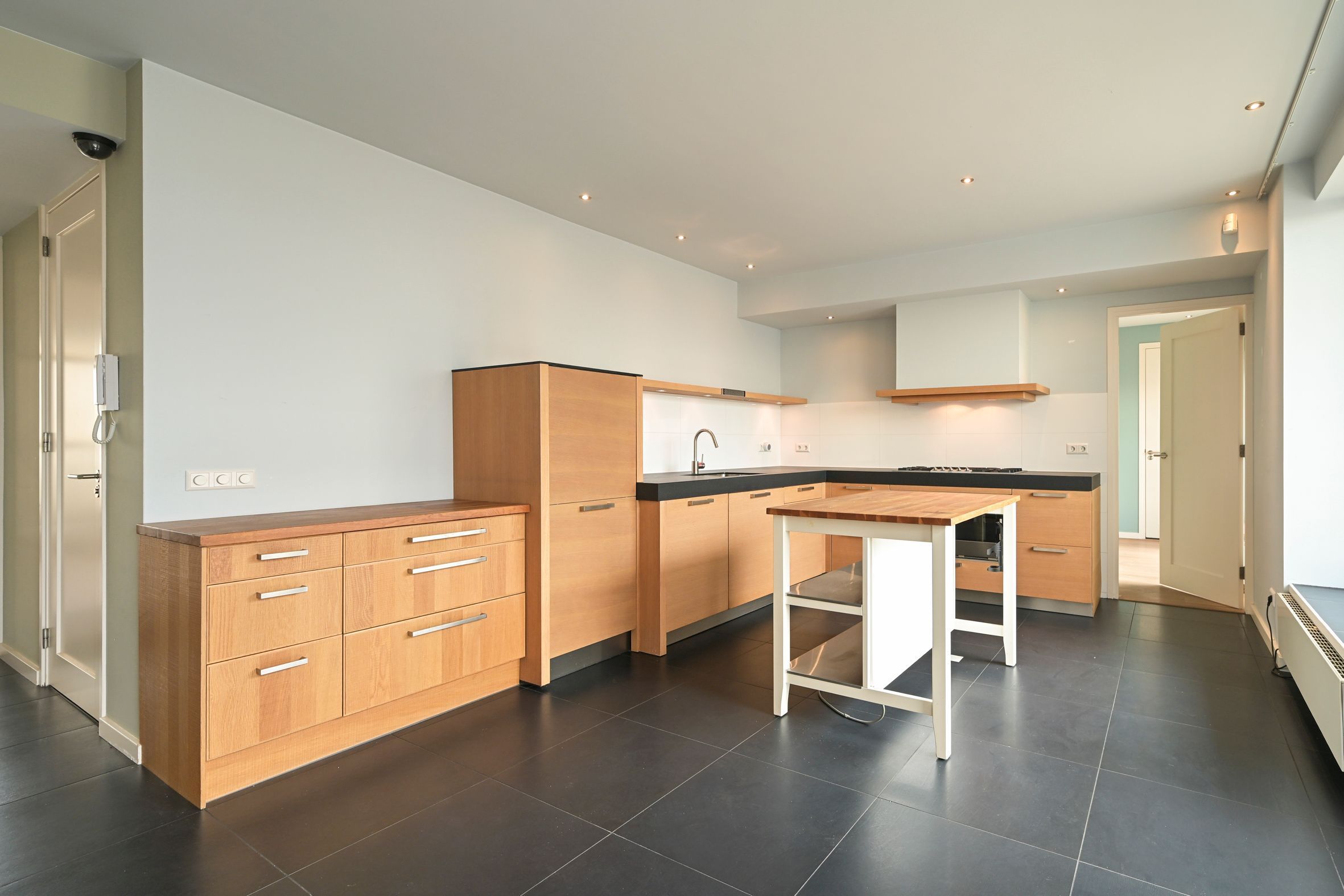 Zeekant 102-C Photo Blur 11