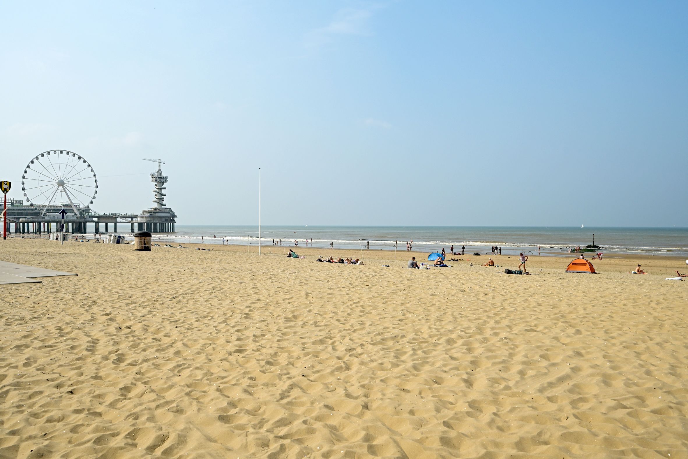 Zeekant 102-C Photo Blur 31