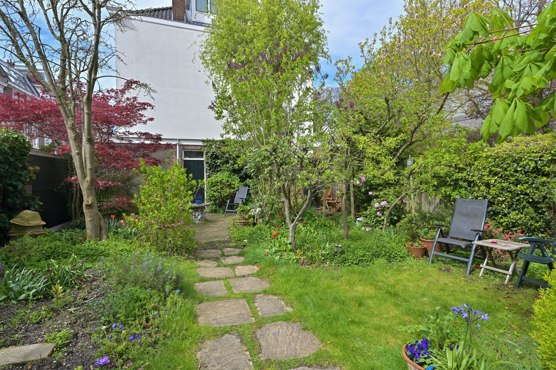 Bazarstraat 19 Photo Blur 2