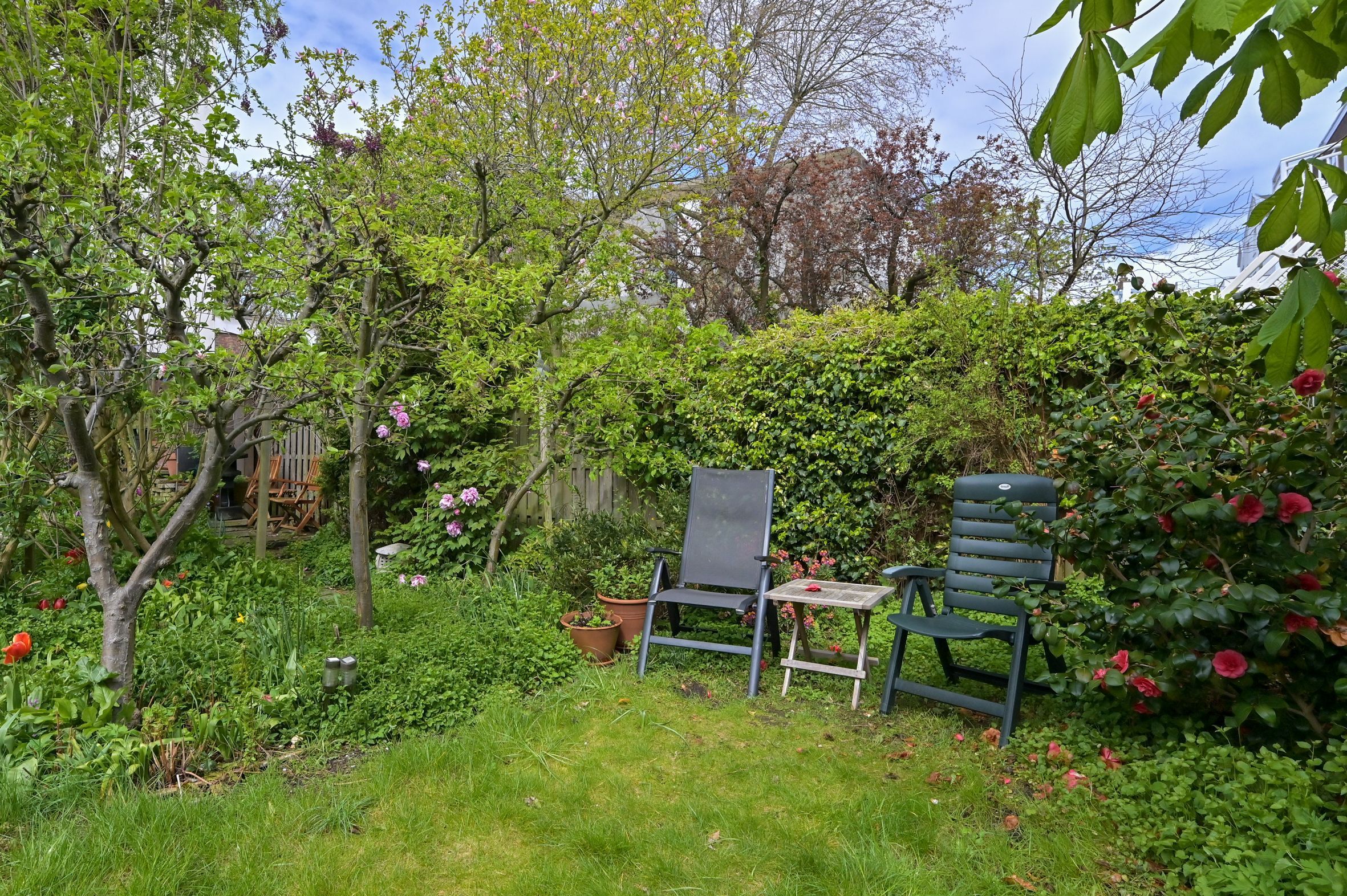 Bazarstraat 19 Photo Blur 16