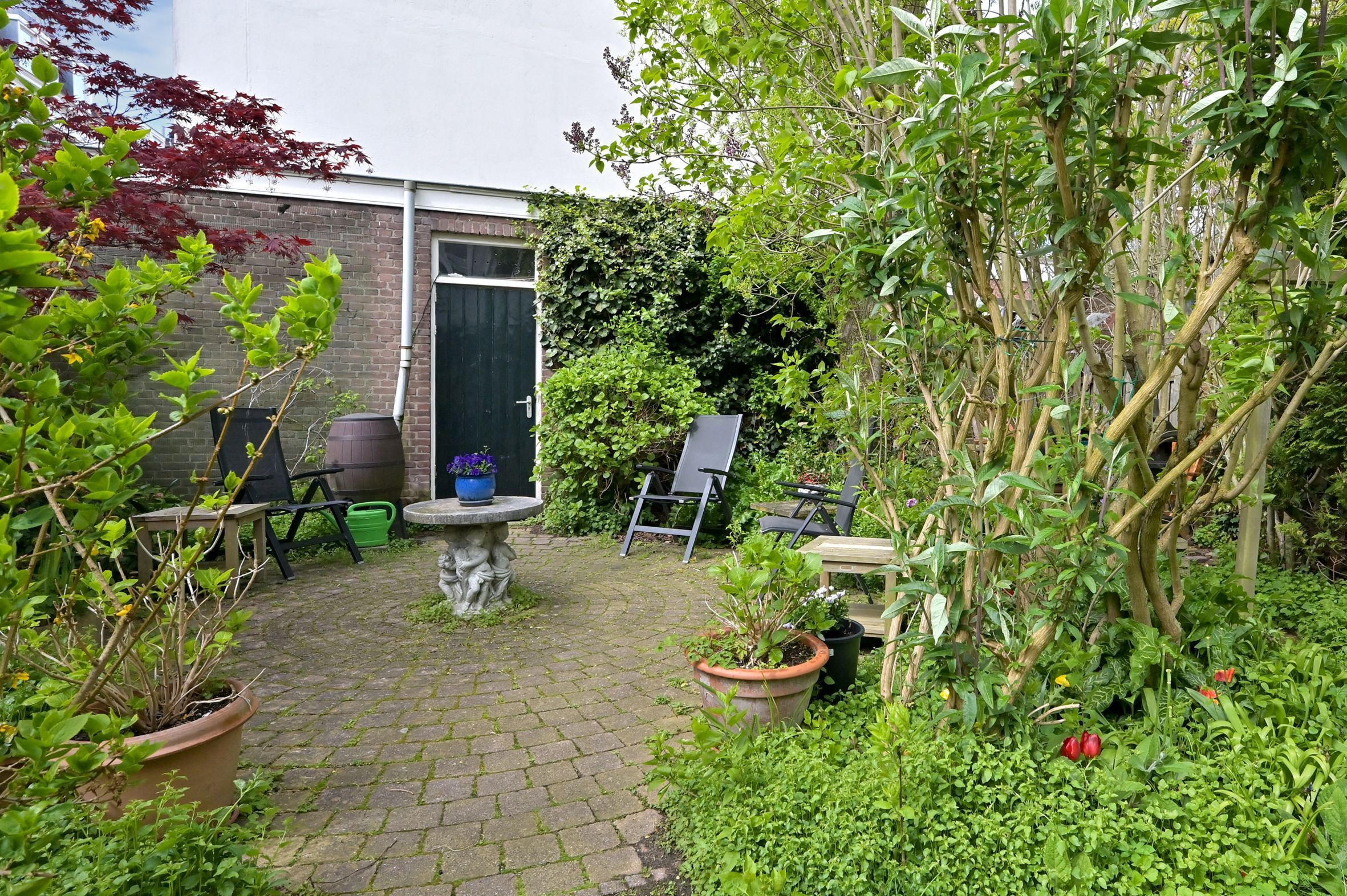 Bazarstraat 19 Photo Blur 19