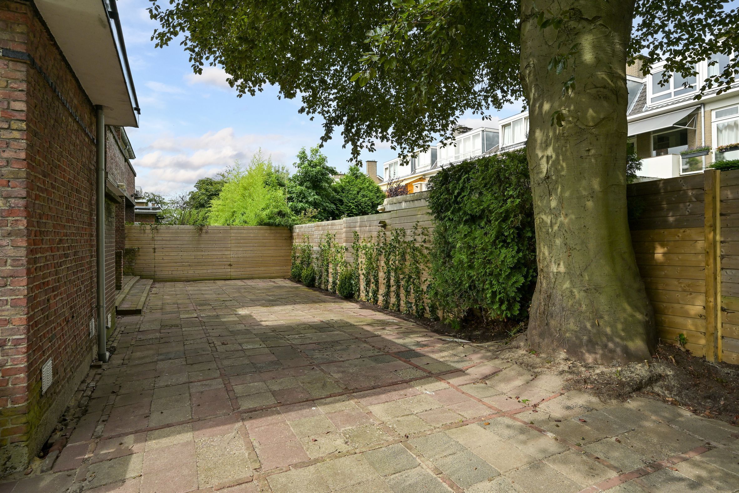 Laan van Clingendael 2 Photo Blur 24