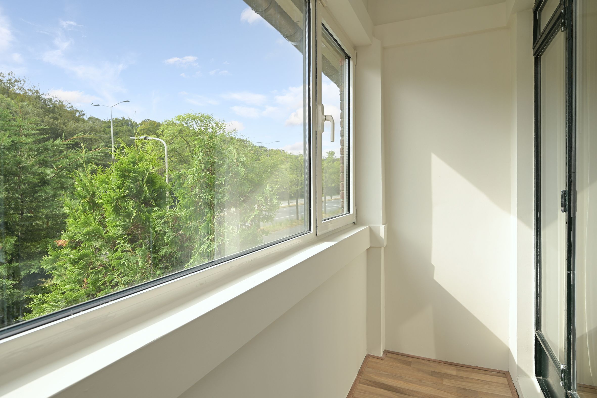 Laan van Clingendael 2 Photo Blur 30