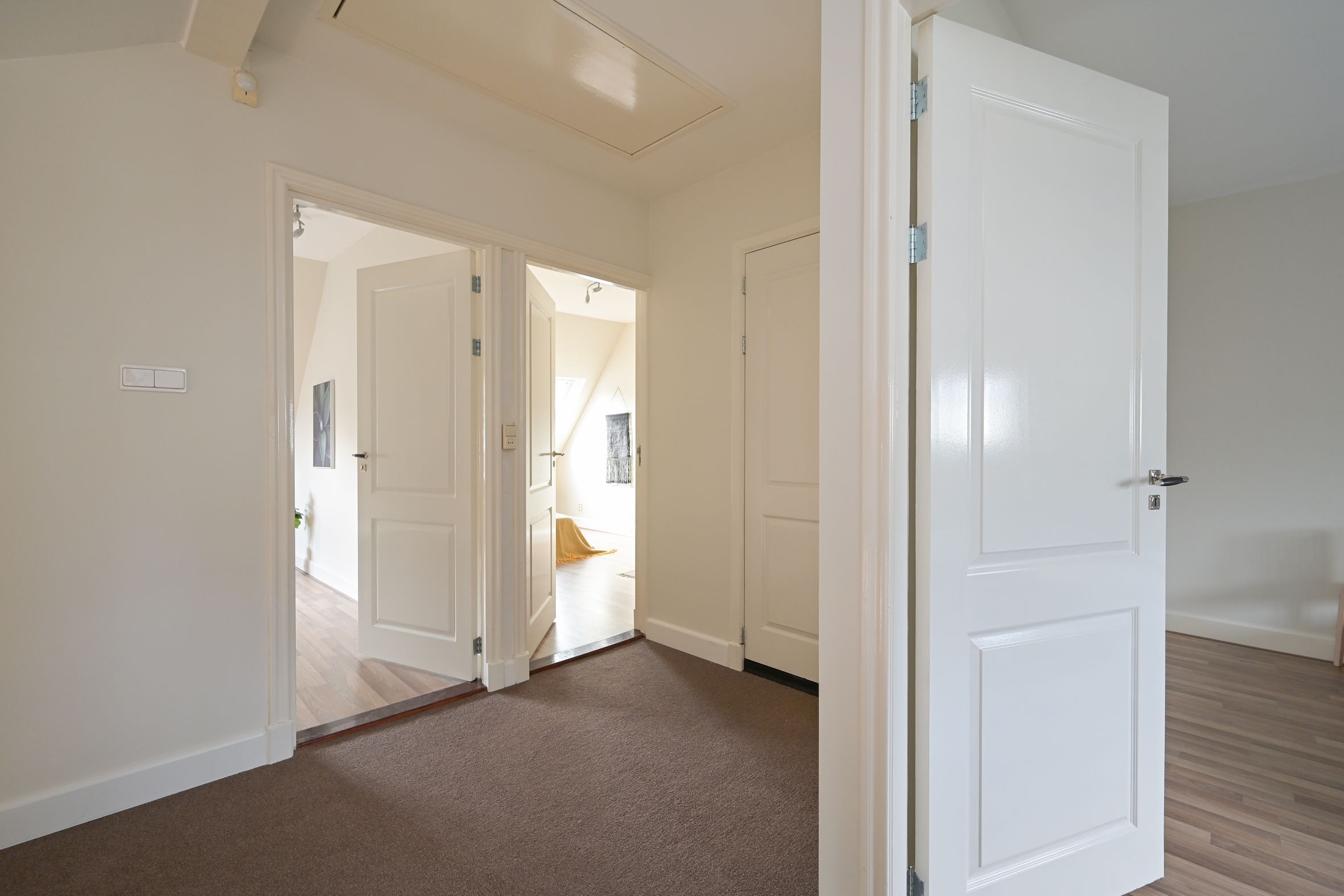 Laan van Clingendael 2 Photo Blur 39