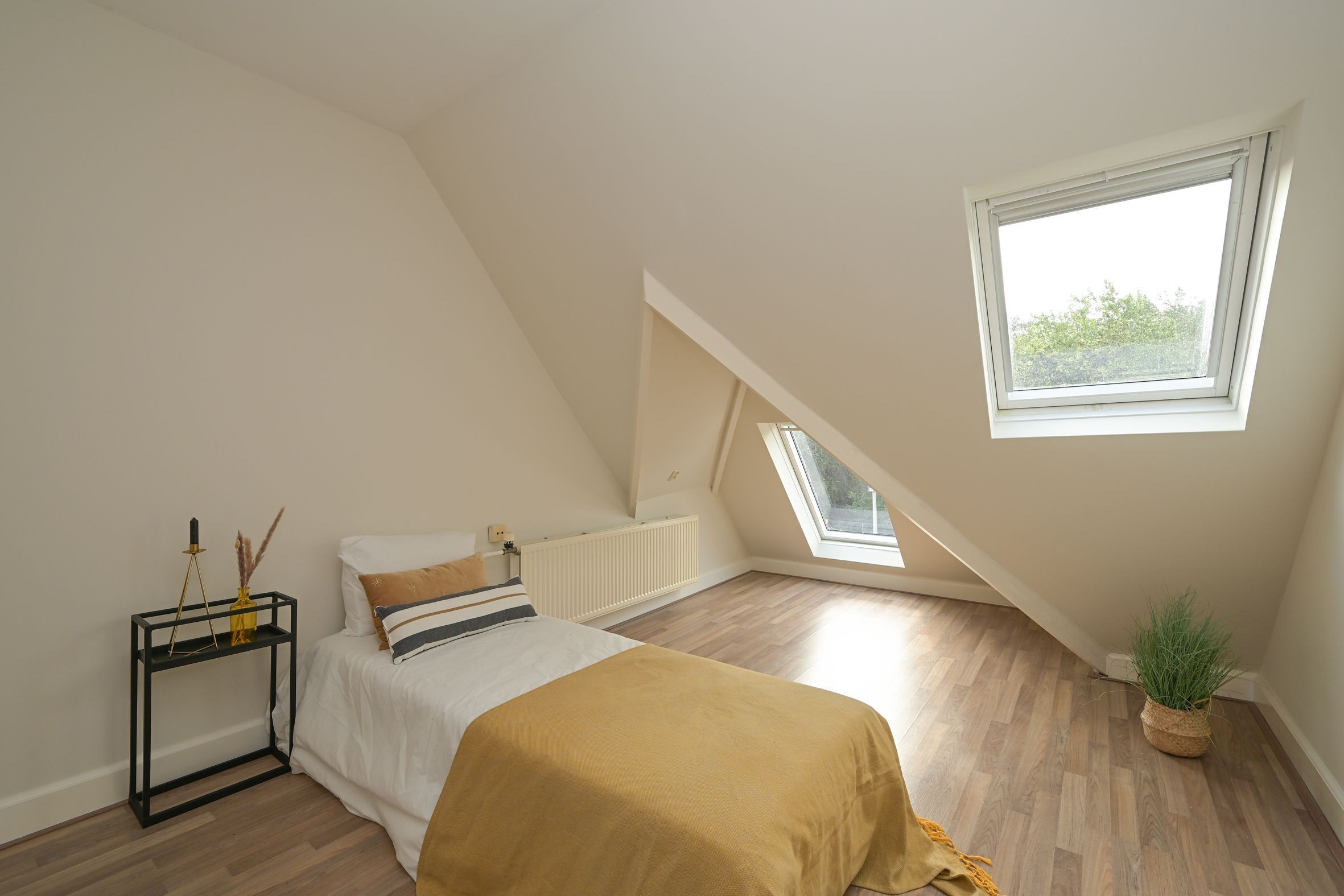 Laan van Clingendael 2 Photo Blur 48