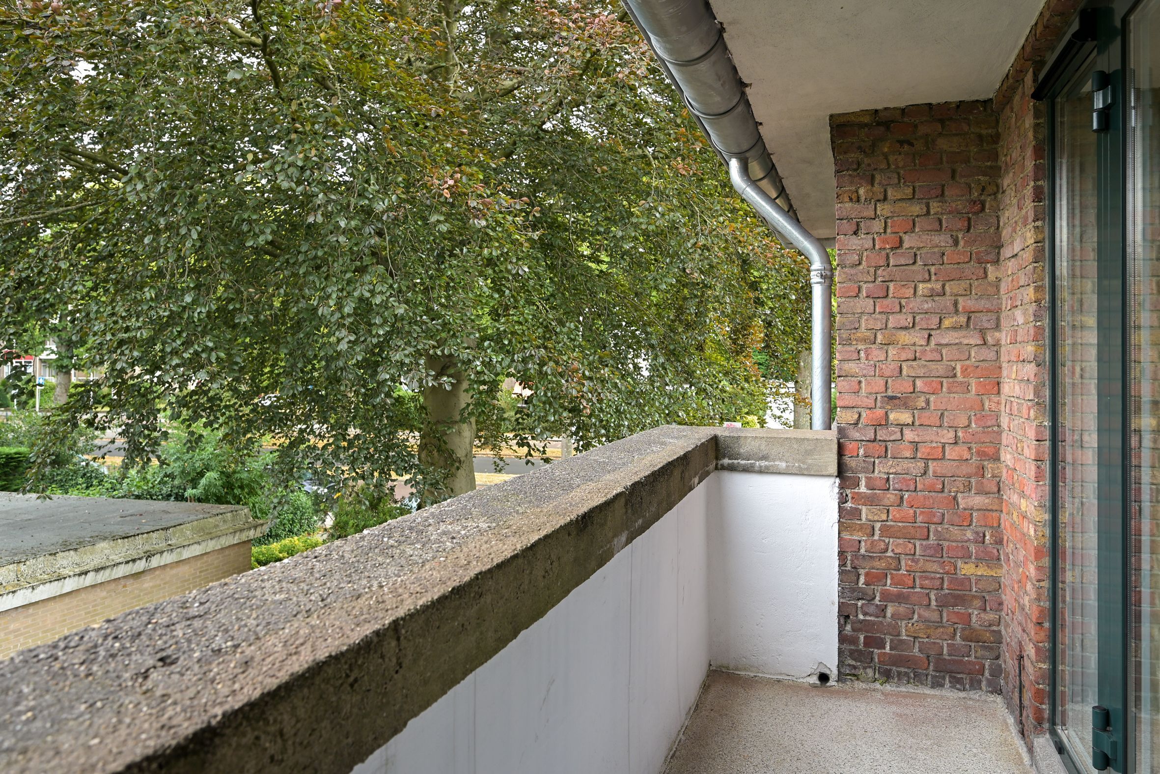 Laan van Clingendael 2 Photo Blur 50