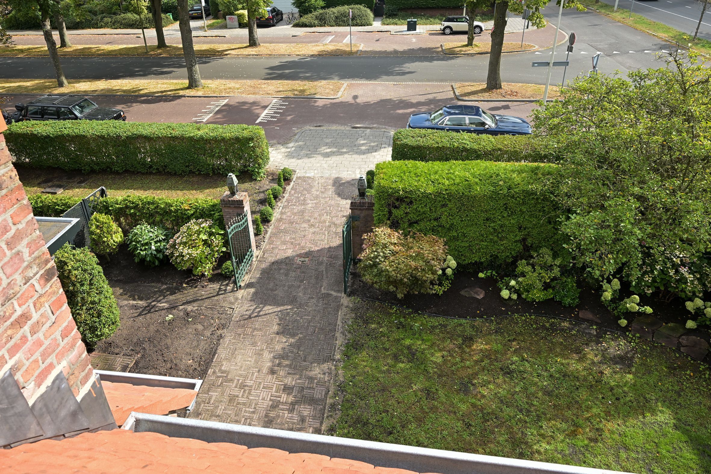 Laan van Clingendael 2 Photo Blur 58