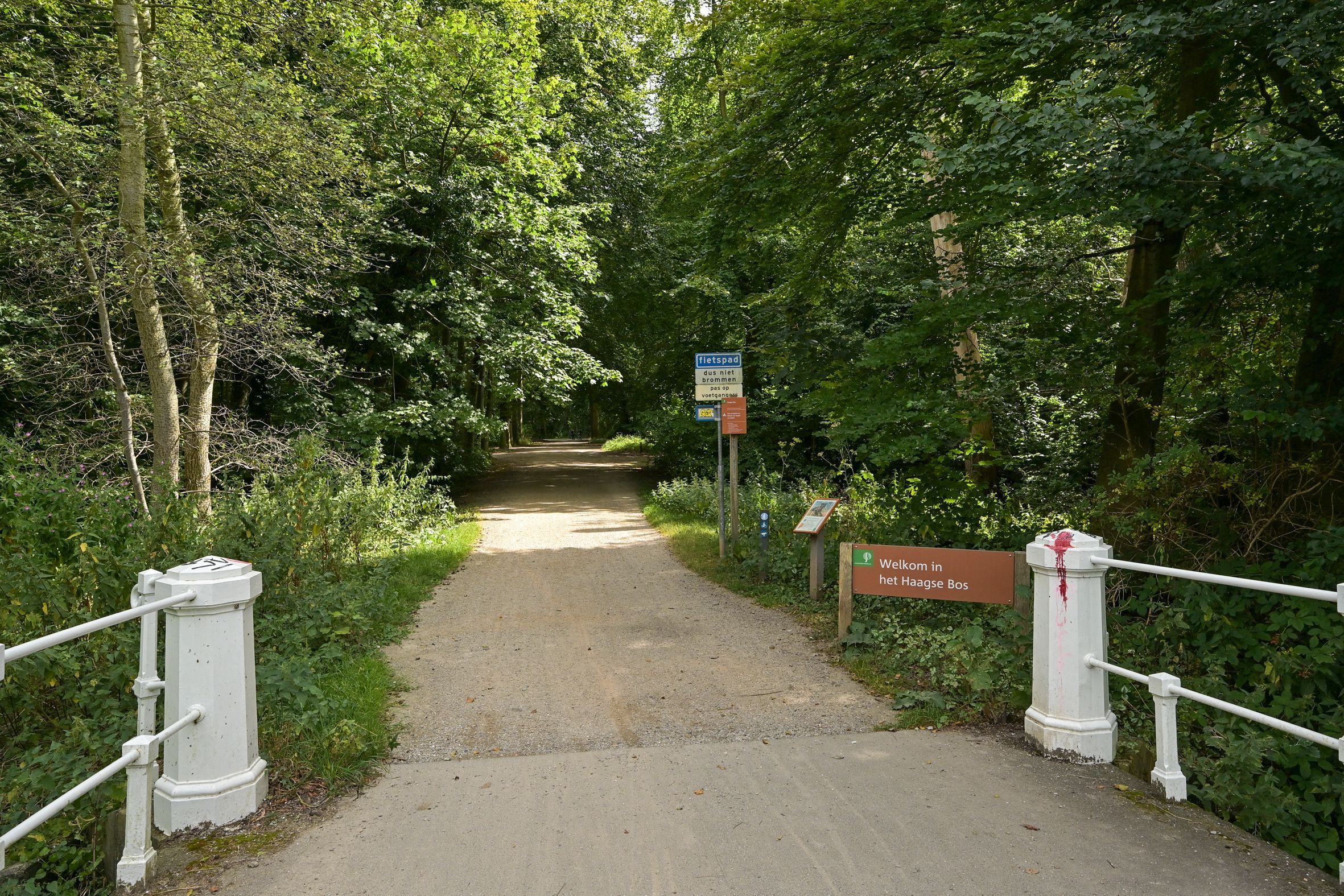 Laan van Clingendael 2 Photo Blur 61