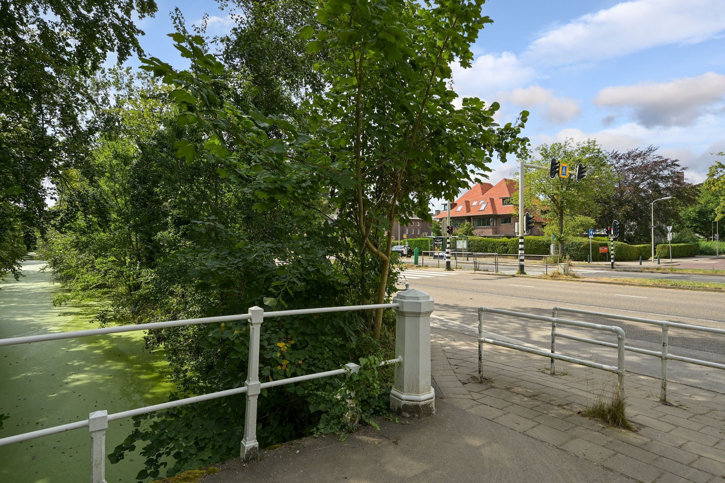 Laan van Clingendael 2 Photo Blur 62