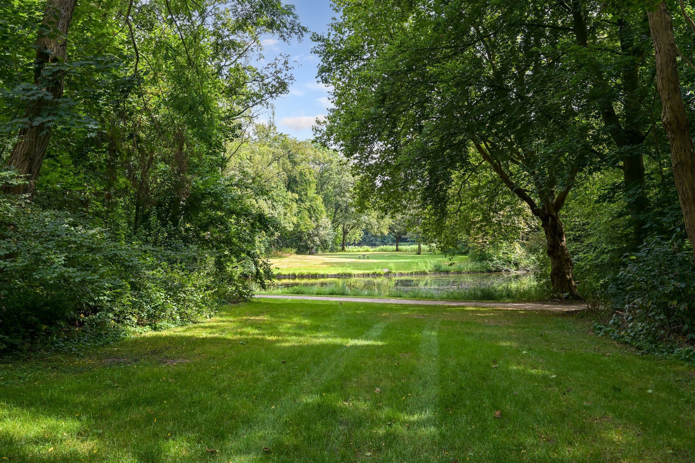 Laan van Clingendael 2 Photo Blur 64