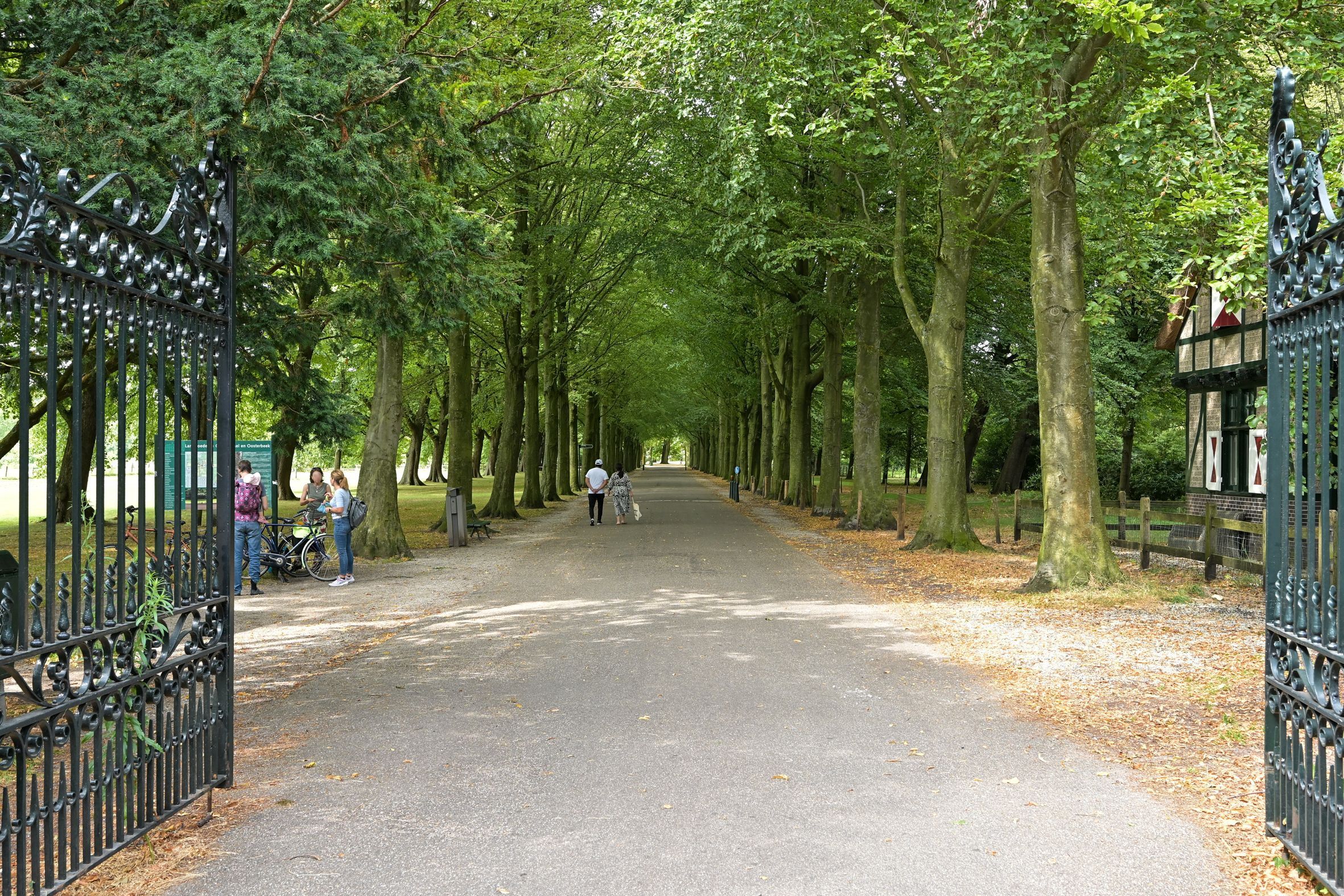 Laan van Clingendael 2 Photo Blur 66