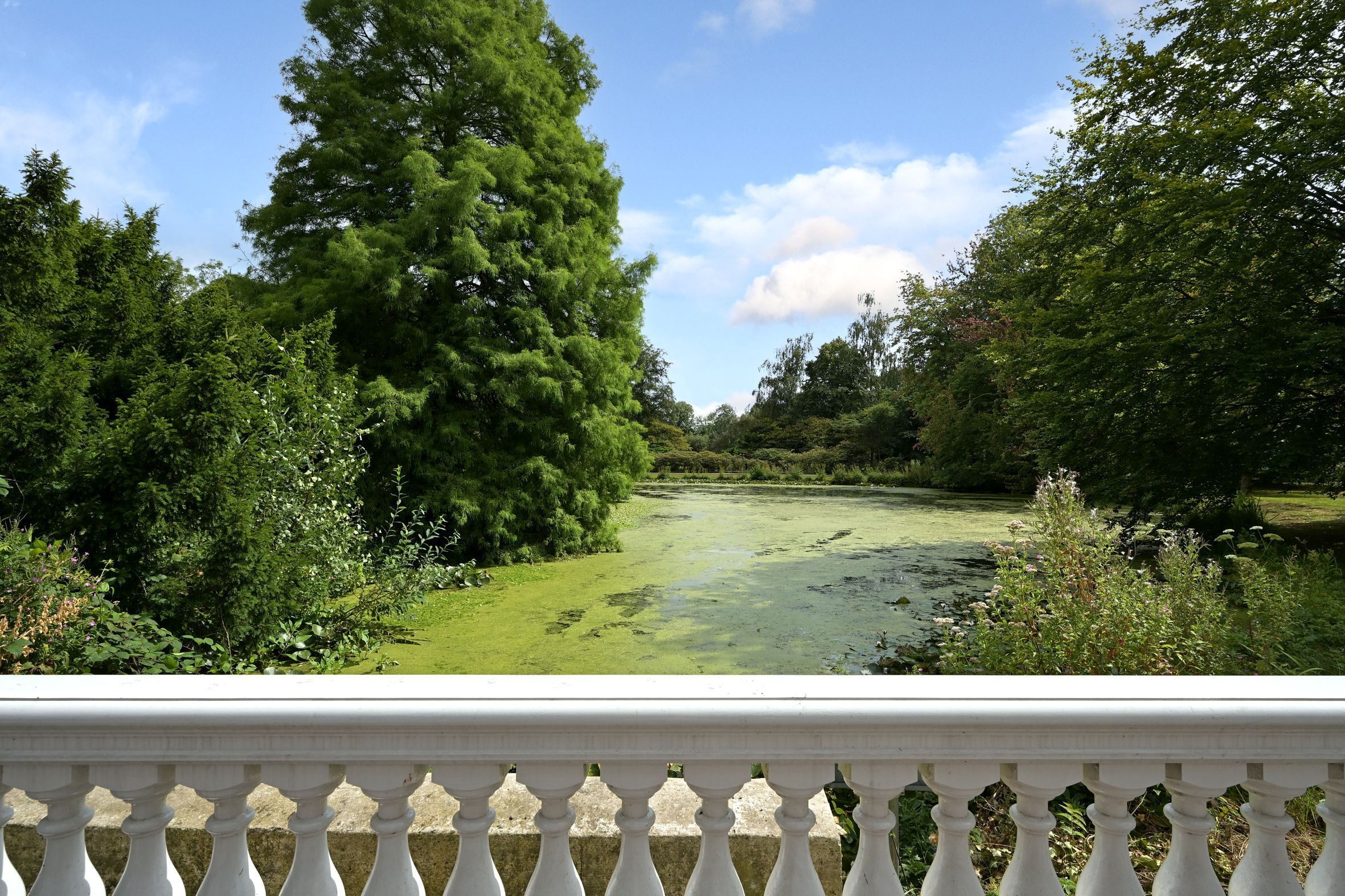 Laan van Clingendael 2 Photo Blur 69