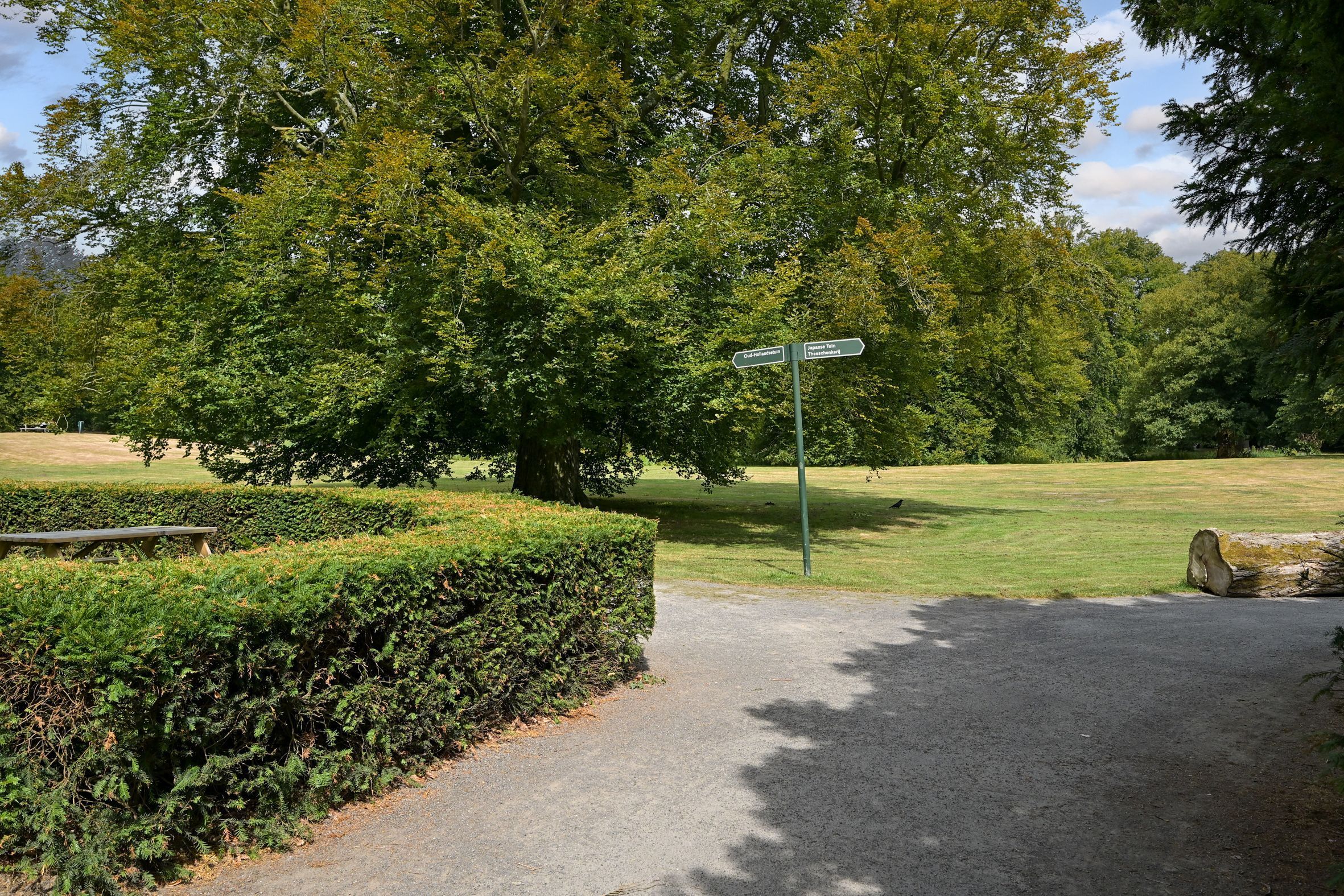 Laan van Clingendael 2 Photo Blur 70