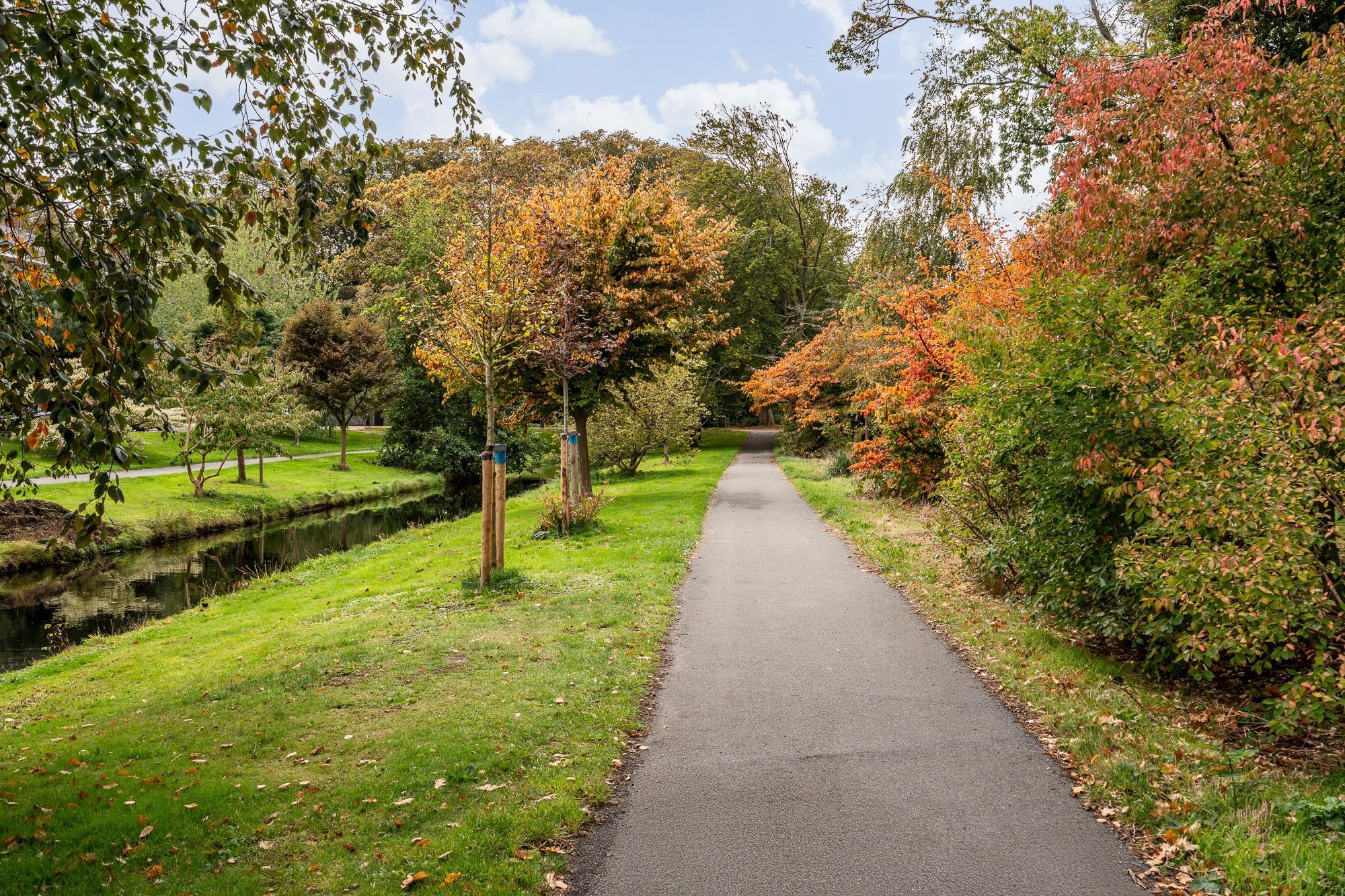 Ruychrocklaan 56 Photo Blur 40