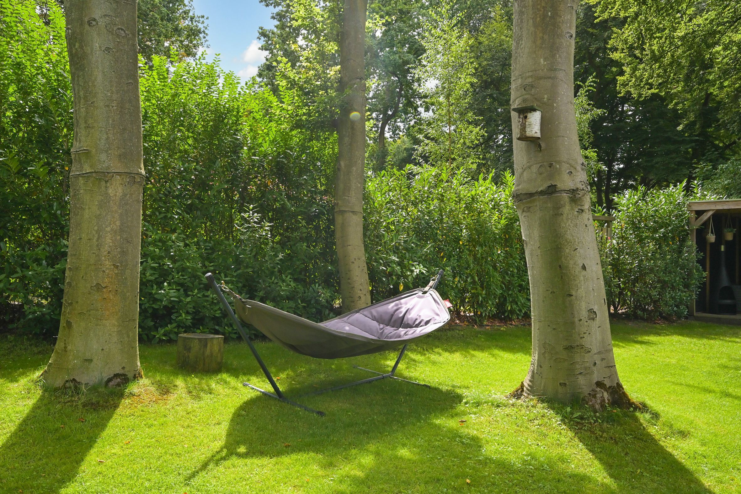 Eikenlaan 14-A Photo Blur 42