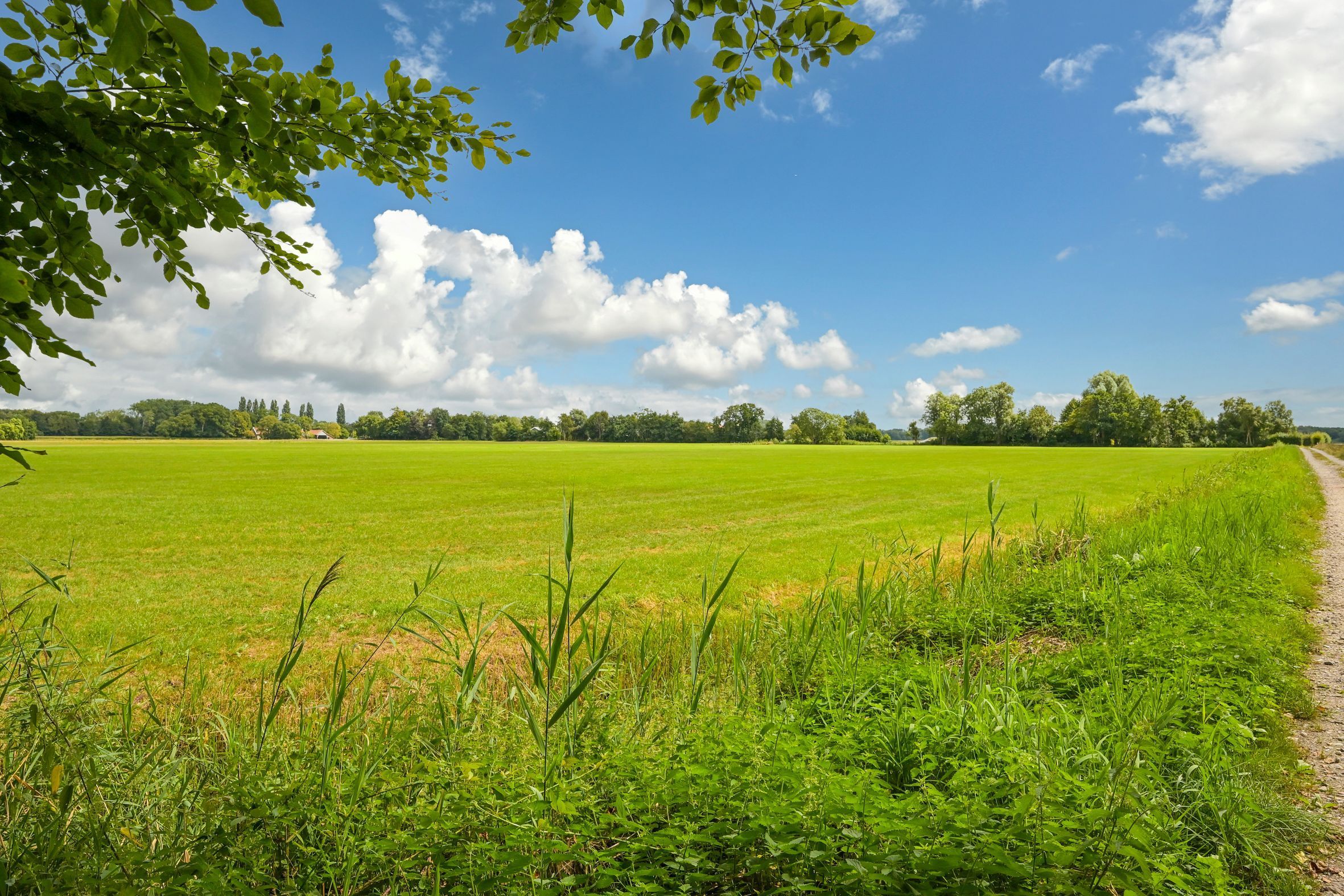 Eikenlaan 14-A Photo Blur 43