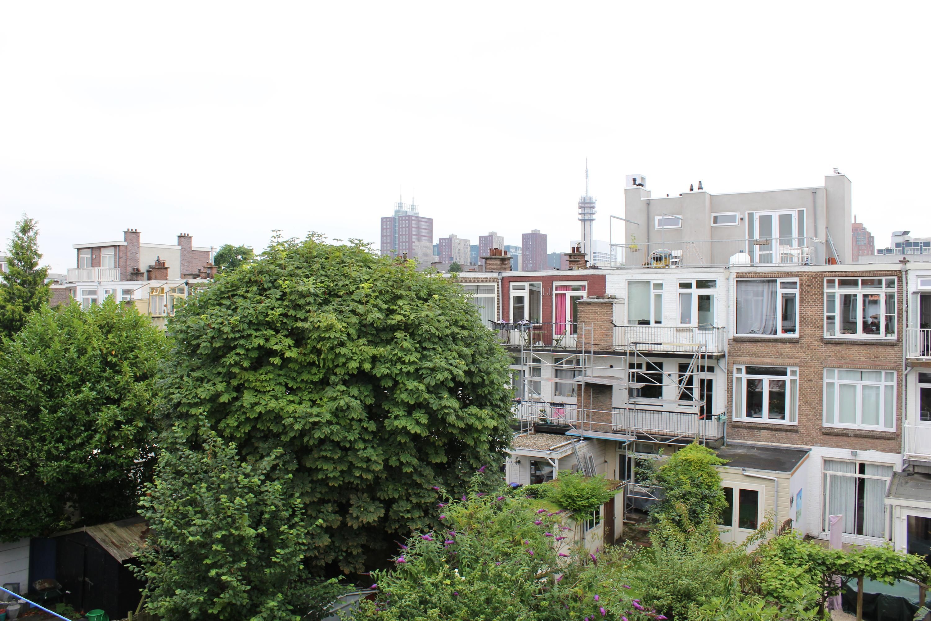 Joan Maetsuyckerstraat 191 Photo Blur 17