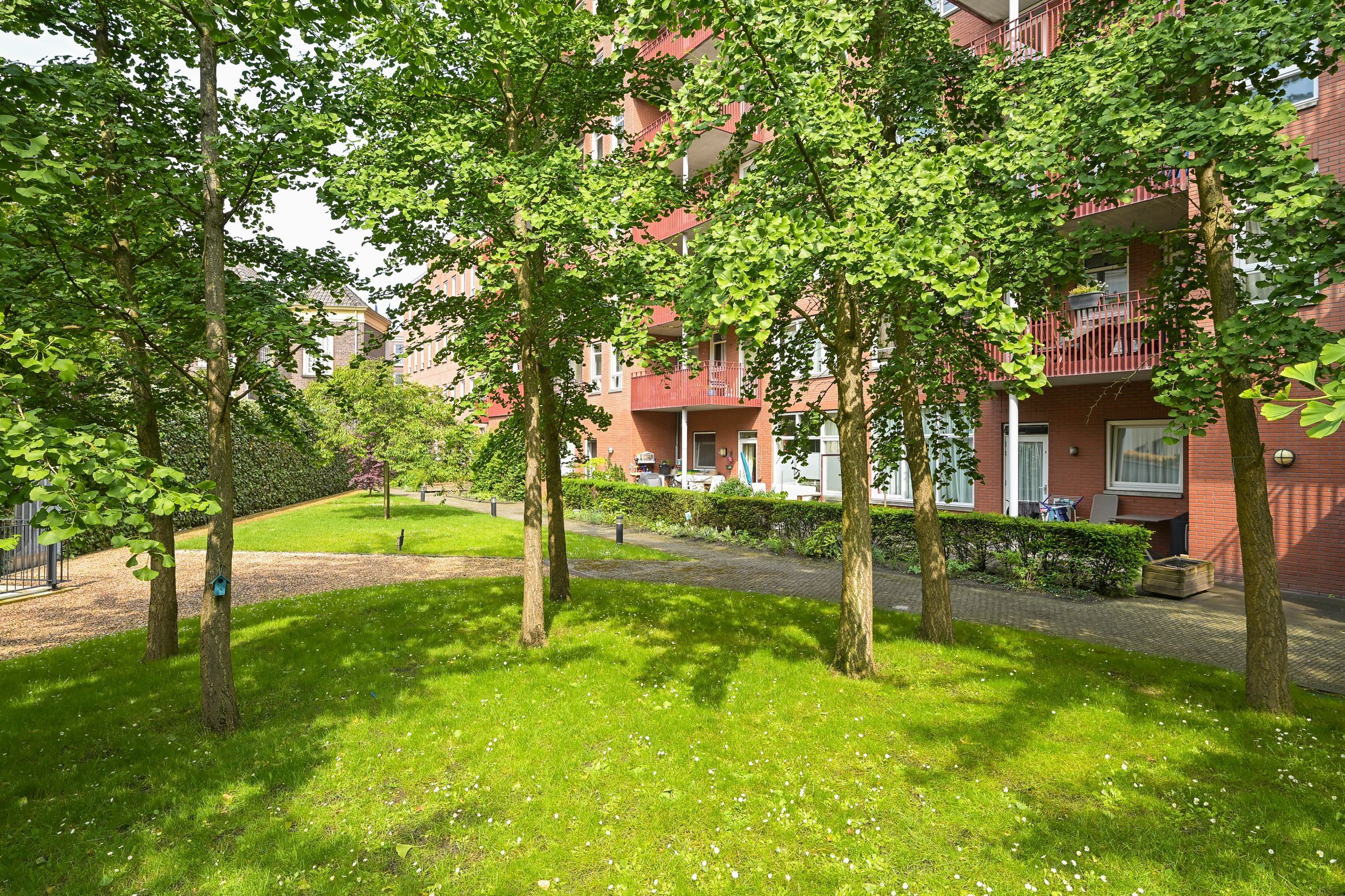 Muzenstraat 100 Photo Blur 19