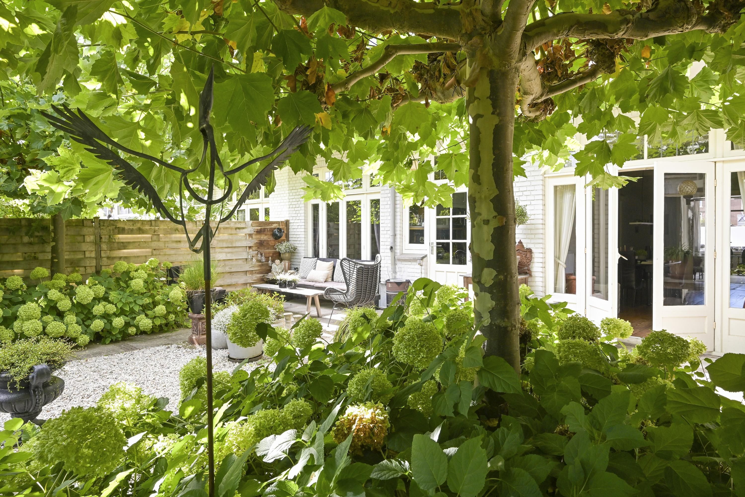 Pomonaplein 89 Photo Blur 39