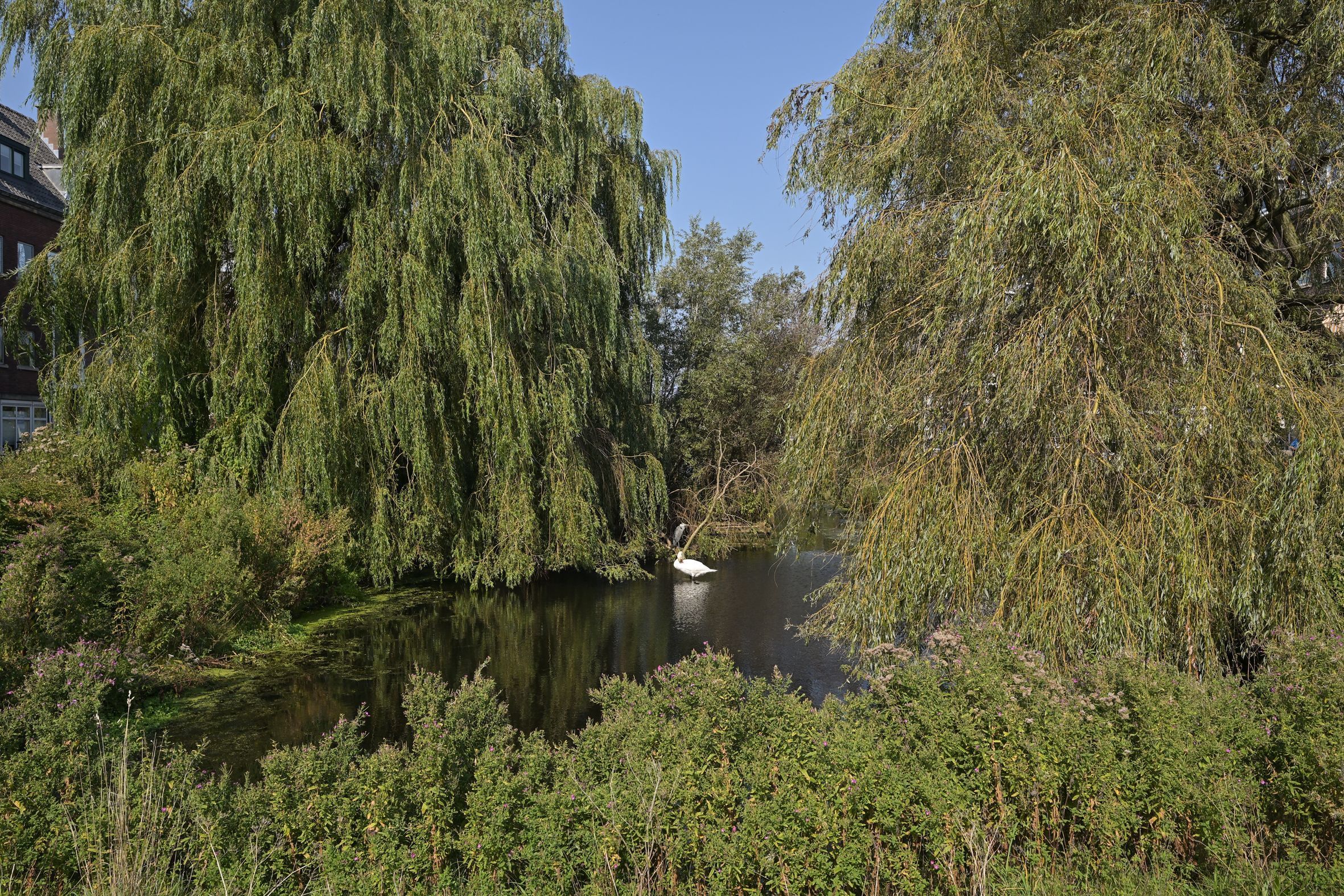 Vlierboomstraat 187 Photo Blur 29