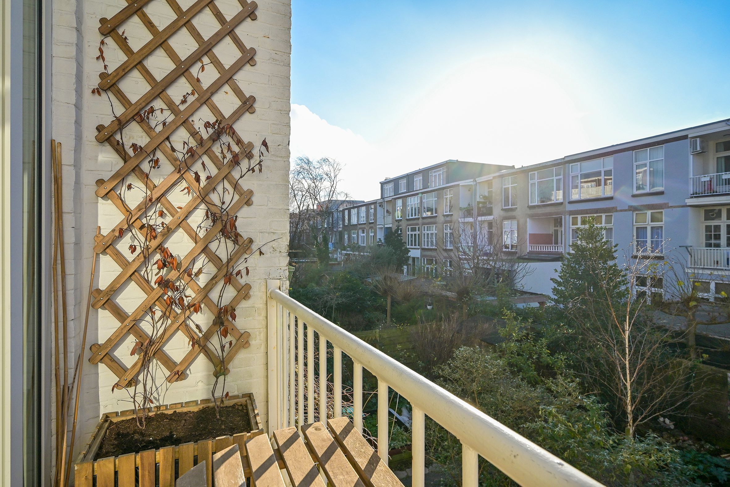 Goudenregenstraat 138 Photo Blur 17