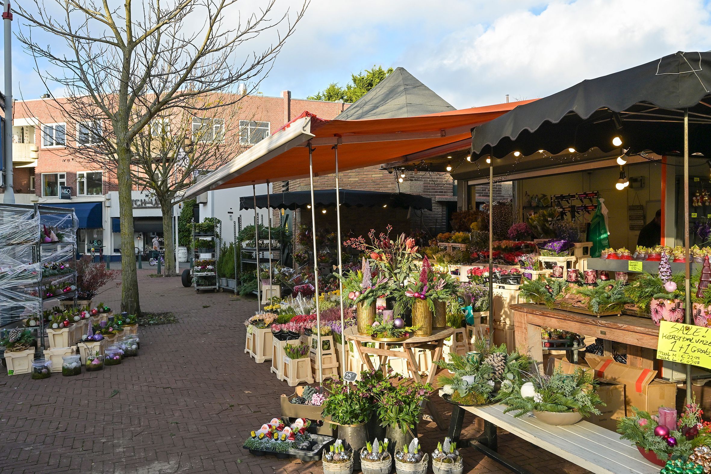 Goudenregenstraat 138 Photo Blur 36