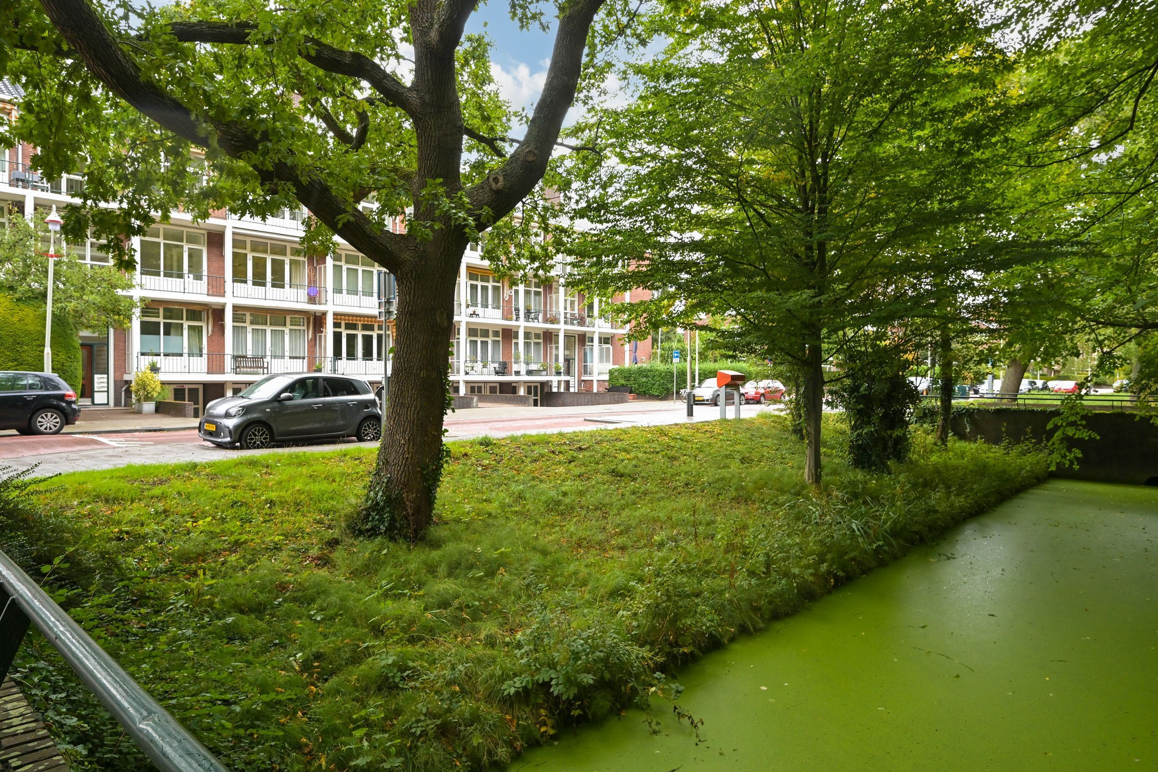 Goetlijfstraat 50 Photo Blur 21