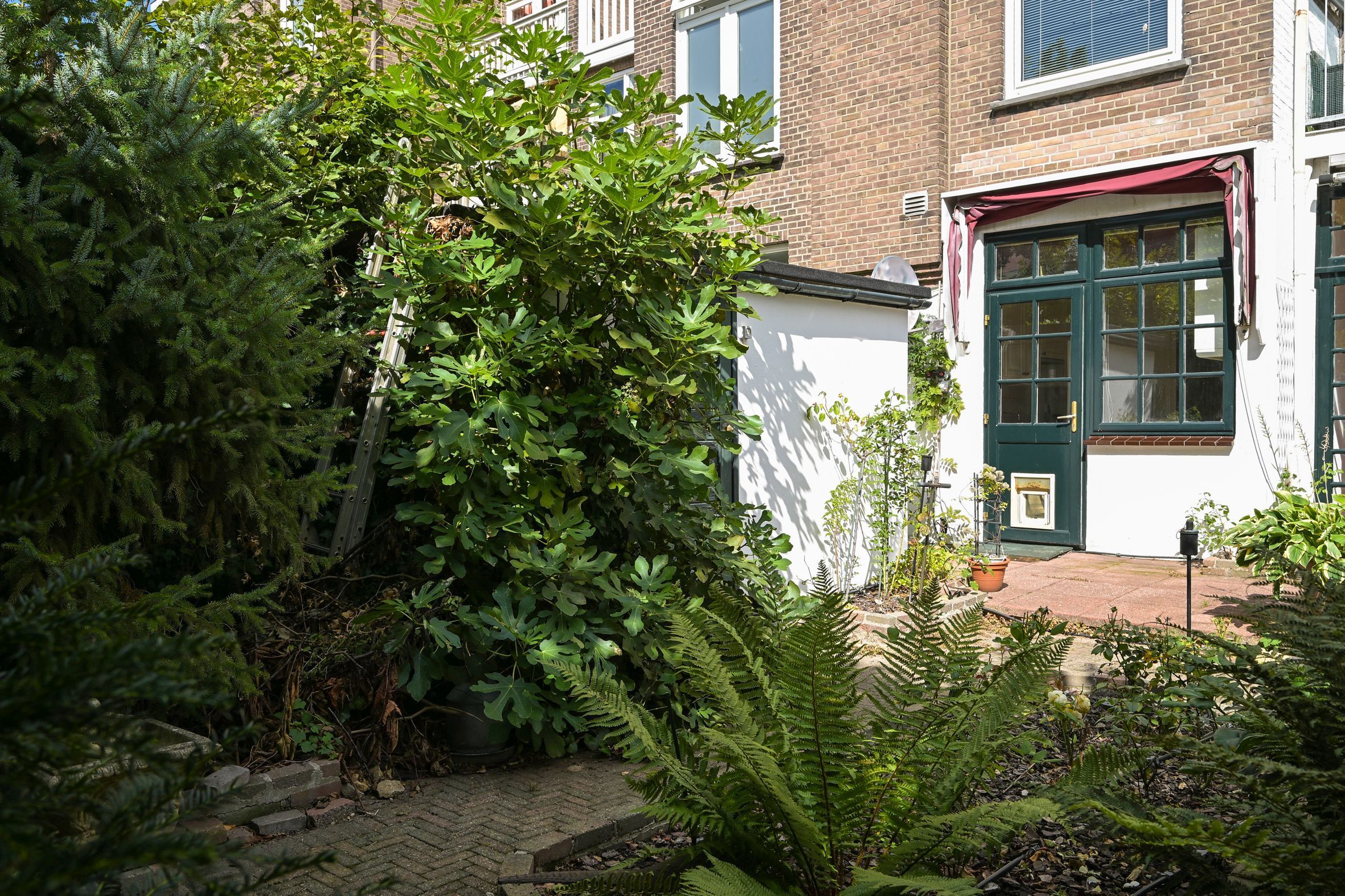 De Bruynestraat 54 Photo Blur 20