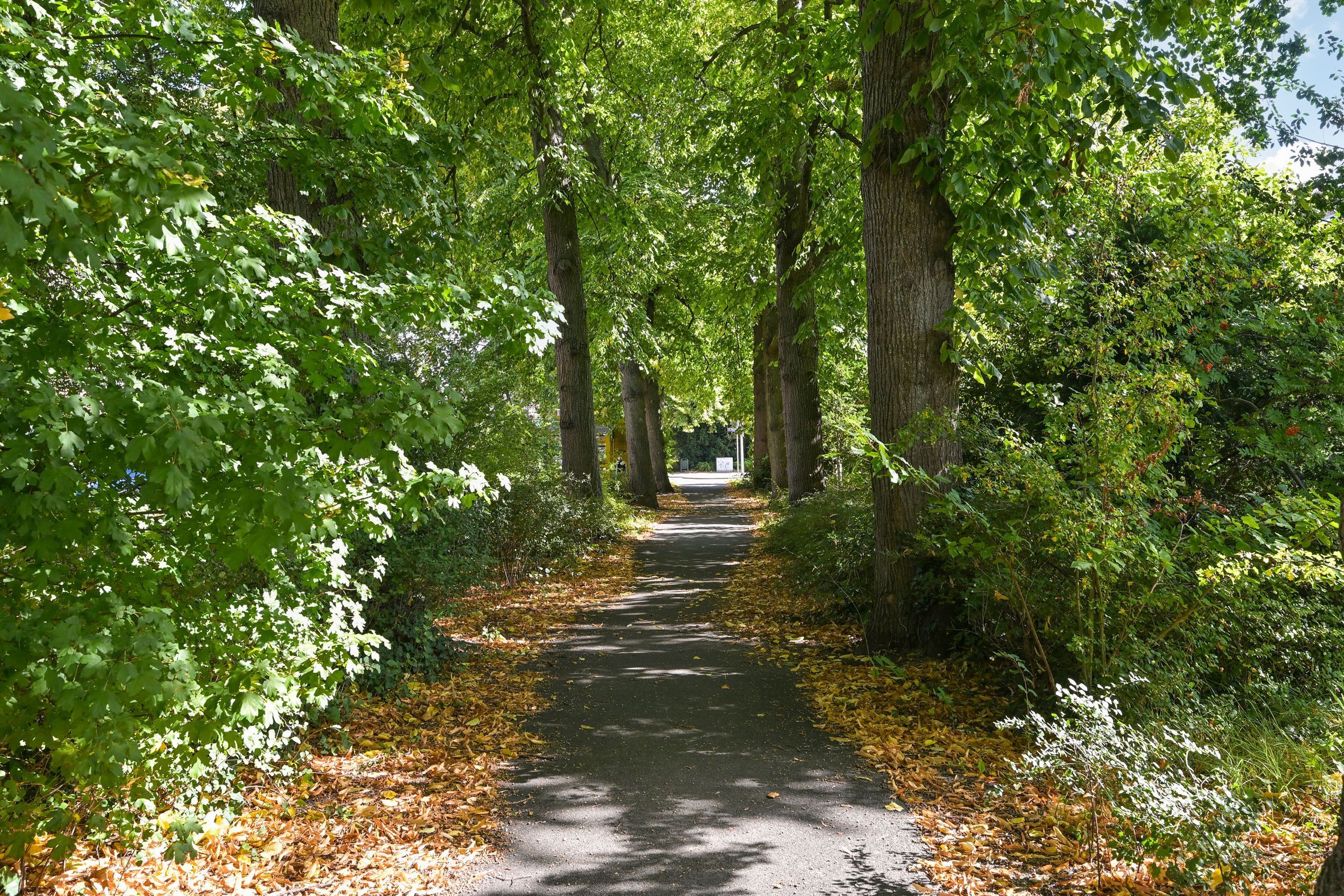 De Bruynestraat 54 Photo Blur 35