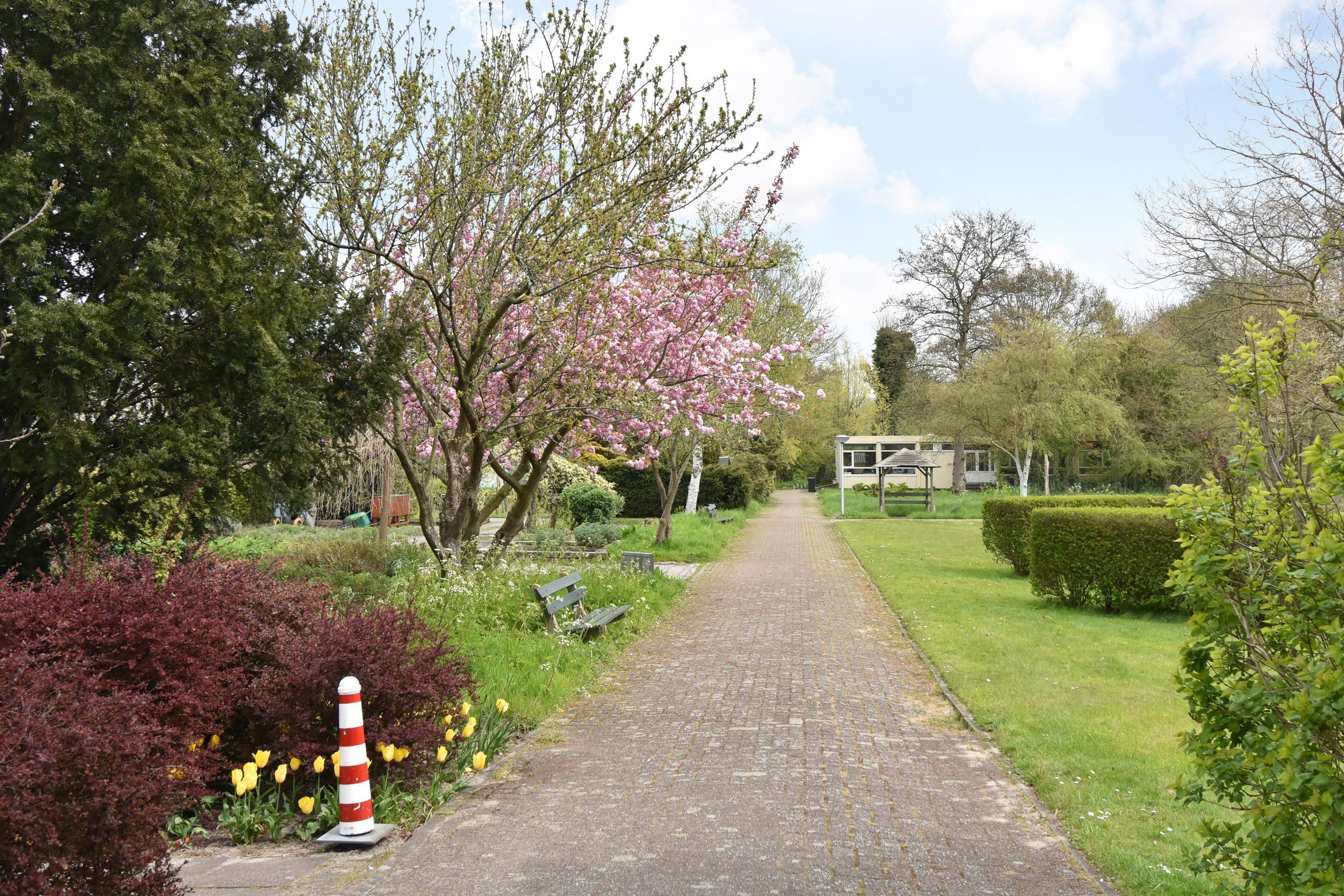 Kornoeljestraat 126 Photo Blur 43