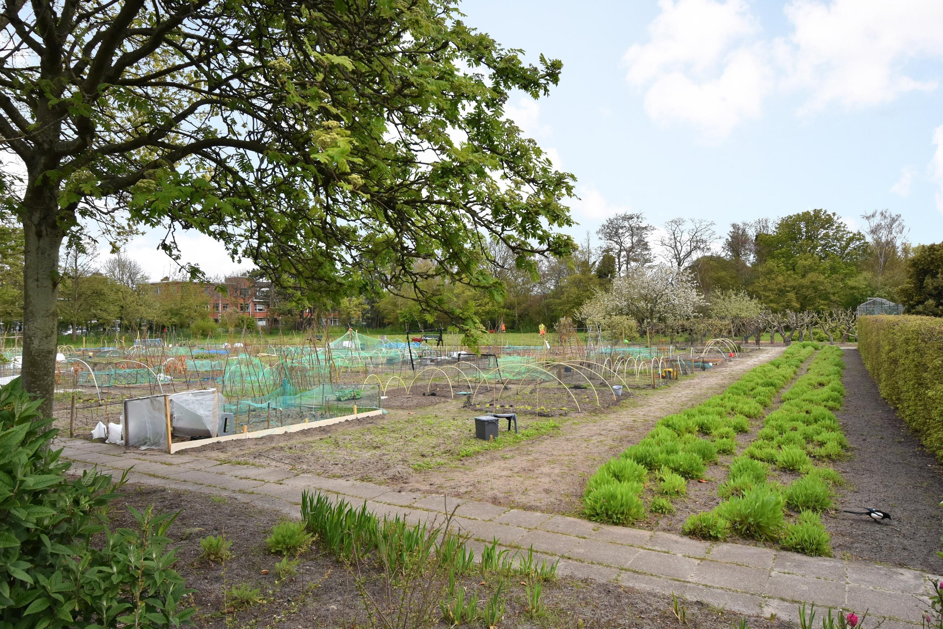 Kornoeljestraat 126 Photo Blur 44